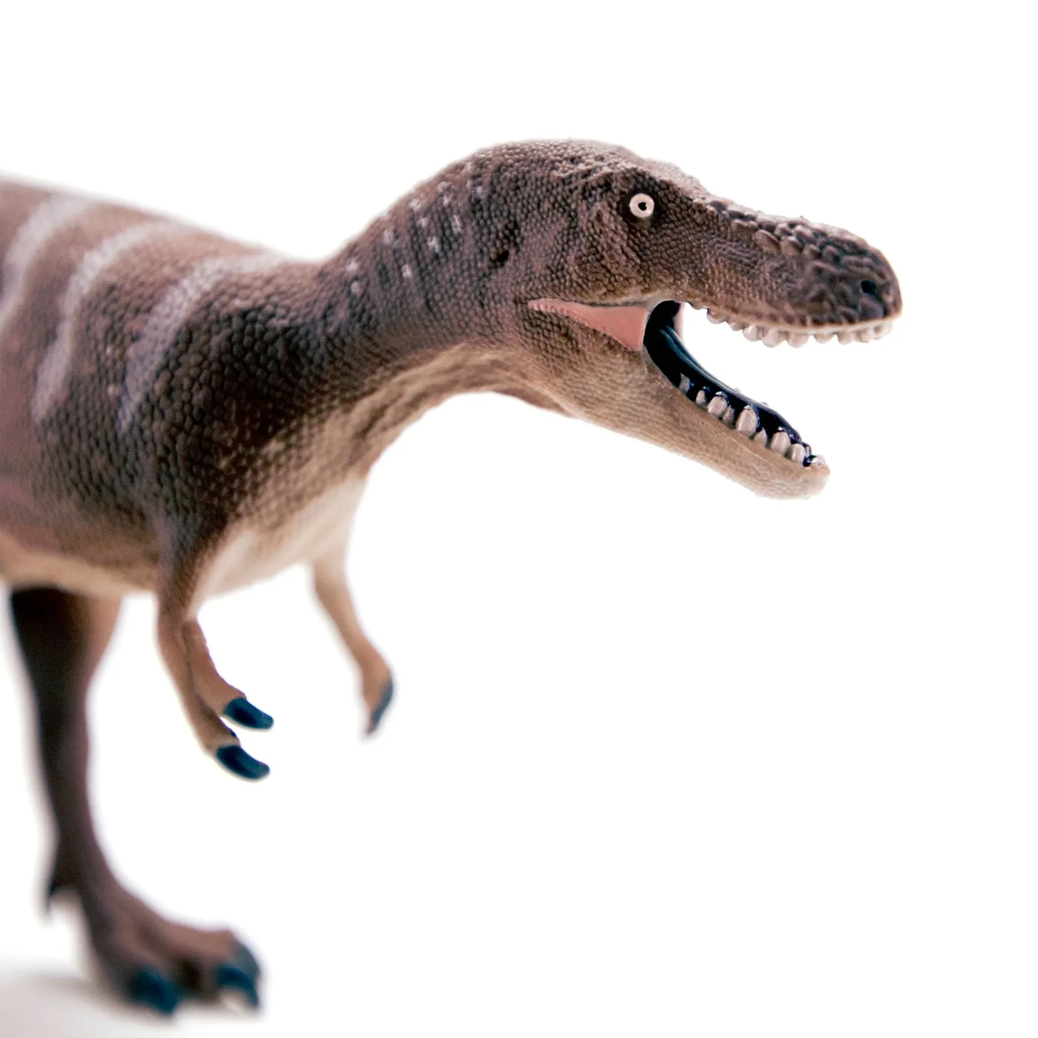 Safari Ltd Dino Dana Nanotyrannus - Image 4