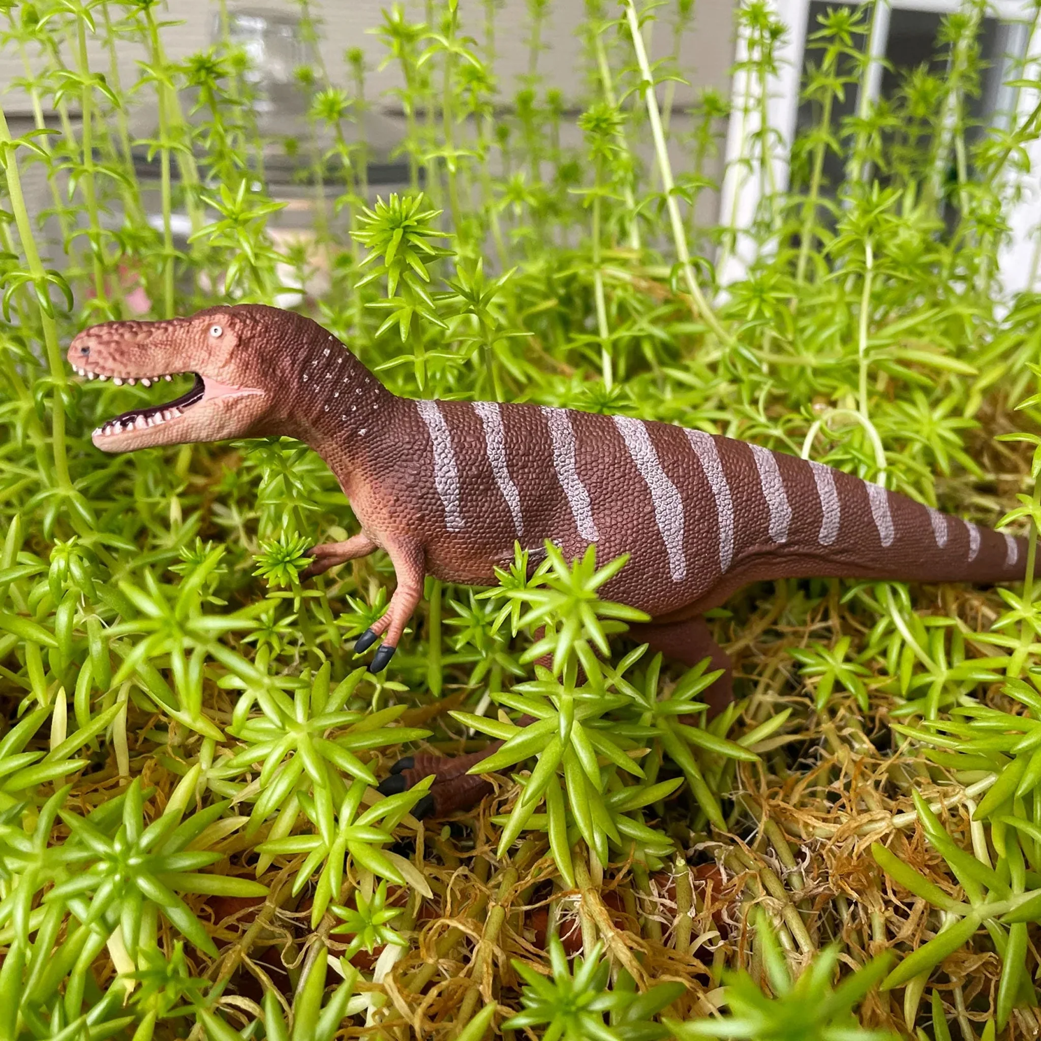 Safari Ltd Dino Dana Nanotyrannus - Image 6