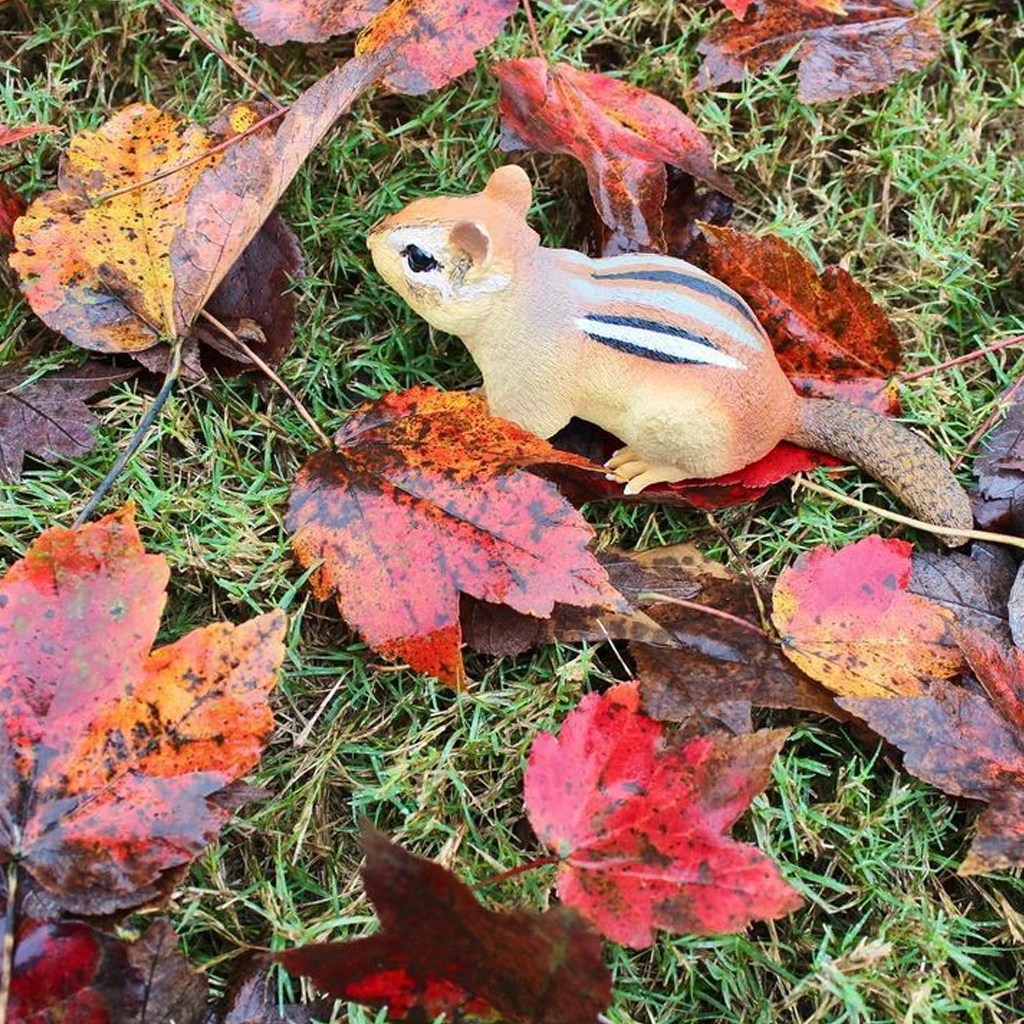 Safari Ltd Eastern Chipmunk XL - Image 9
