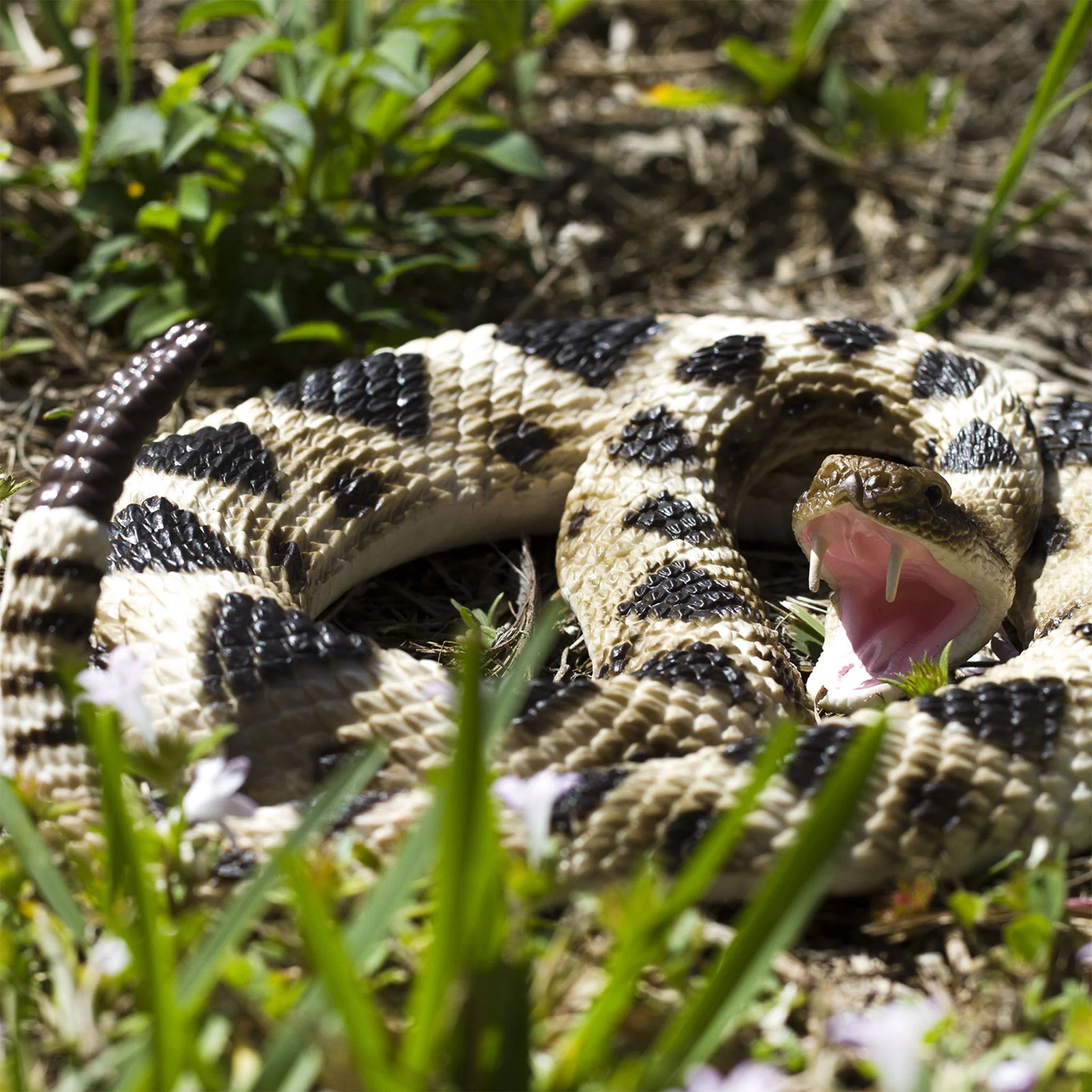 Safari Ltd Eastern Diamondback Rattlesnake XL - Image 7