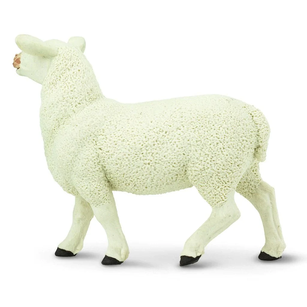 Safari Ltd Ewe - Image 3