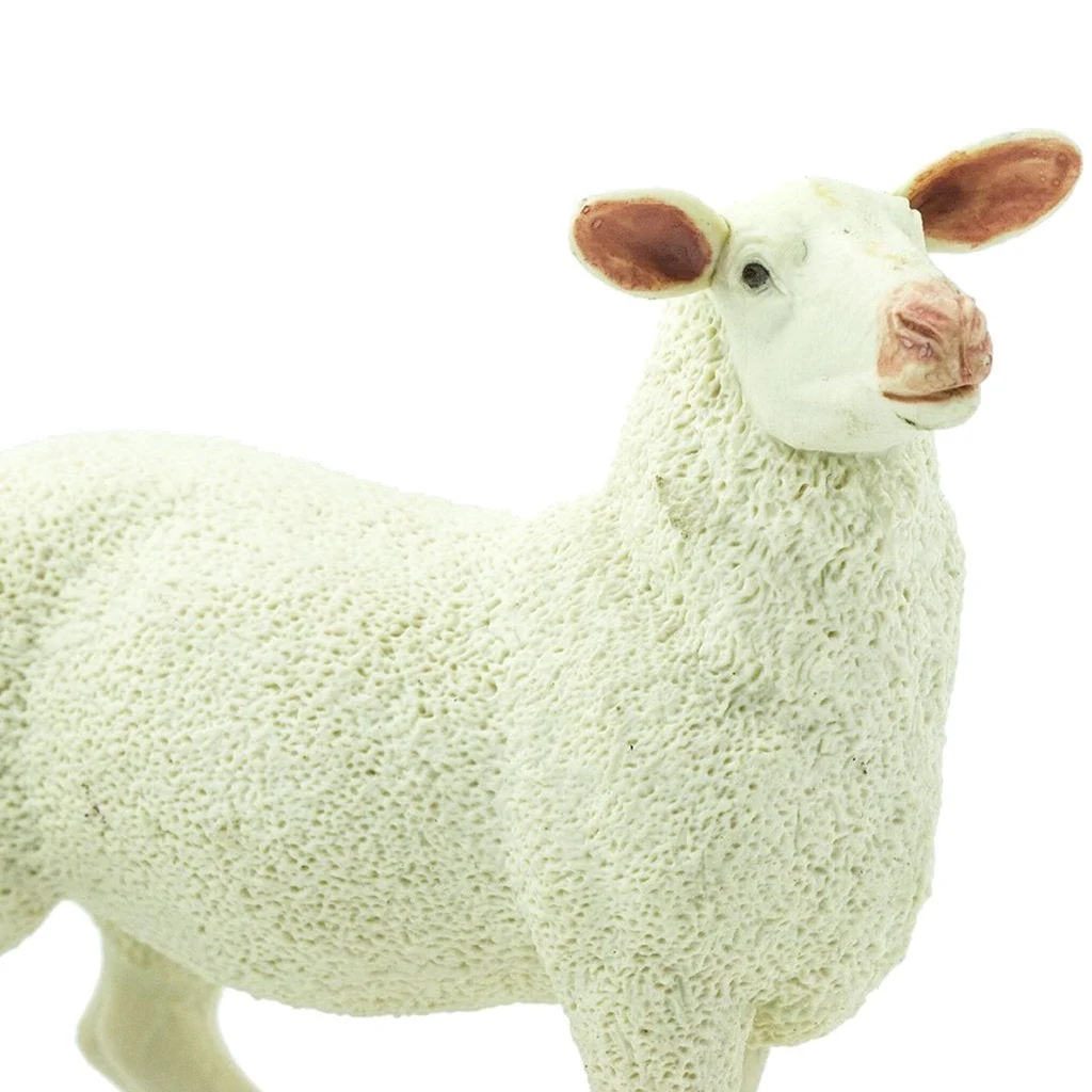 Safari Ltd Ewe - Image 4