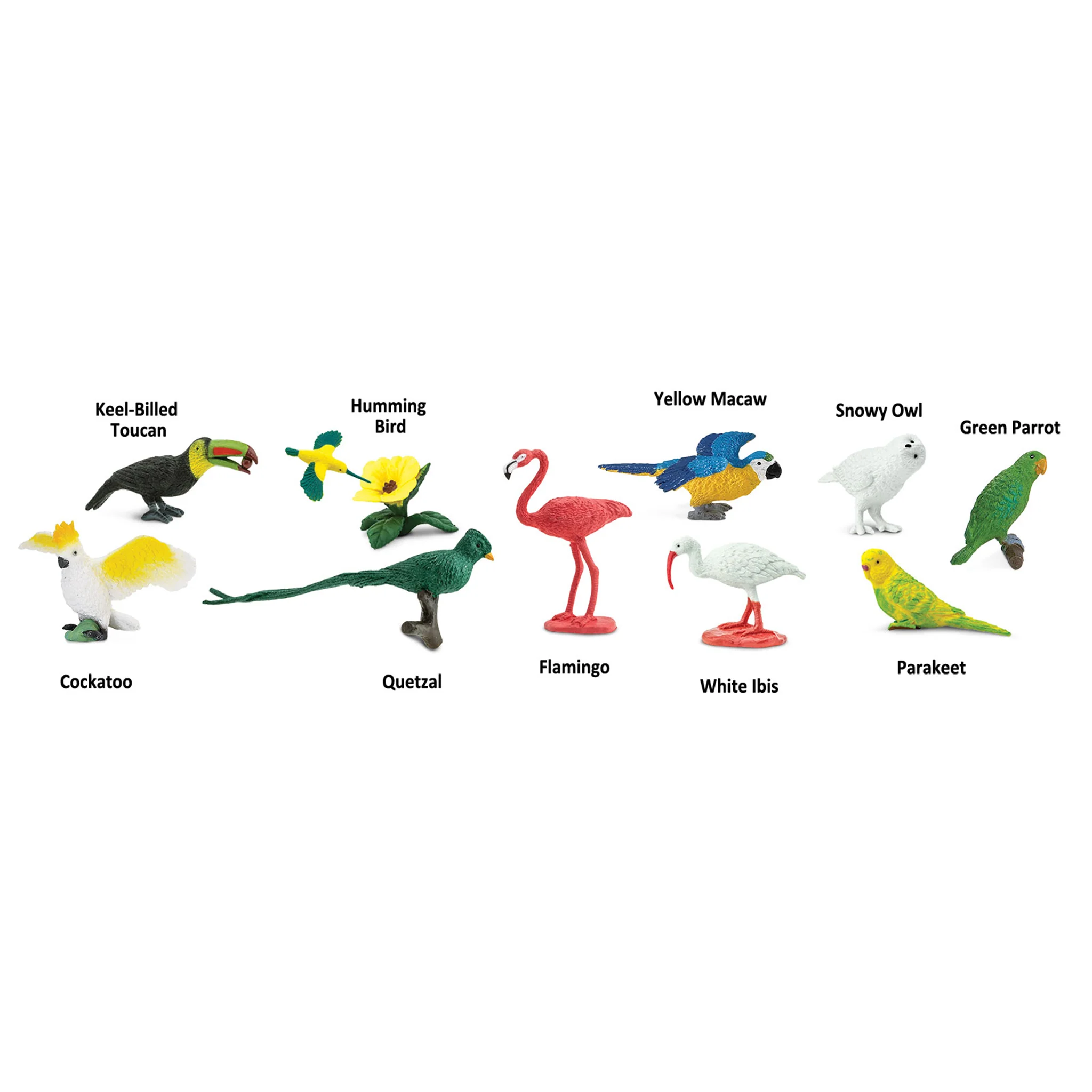 Safari Ltd Exotic Birds Toob - Image 2