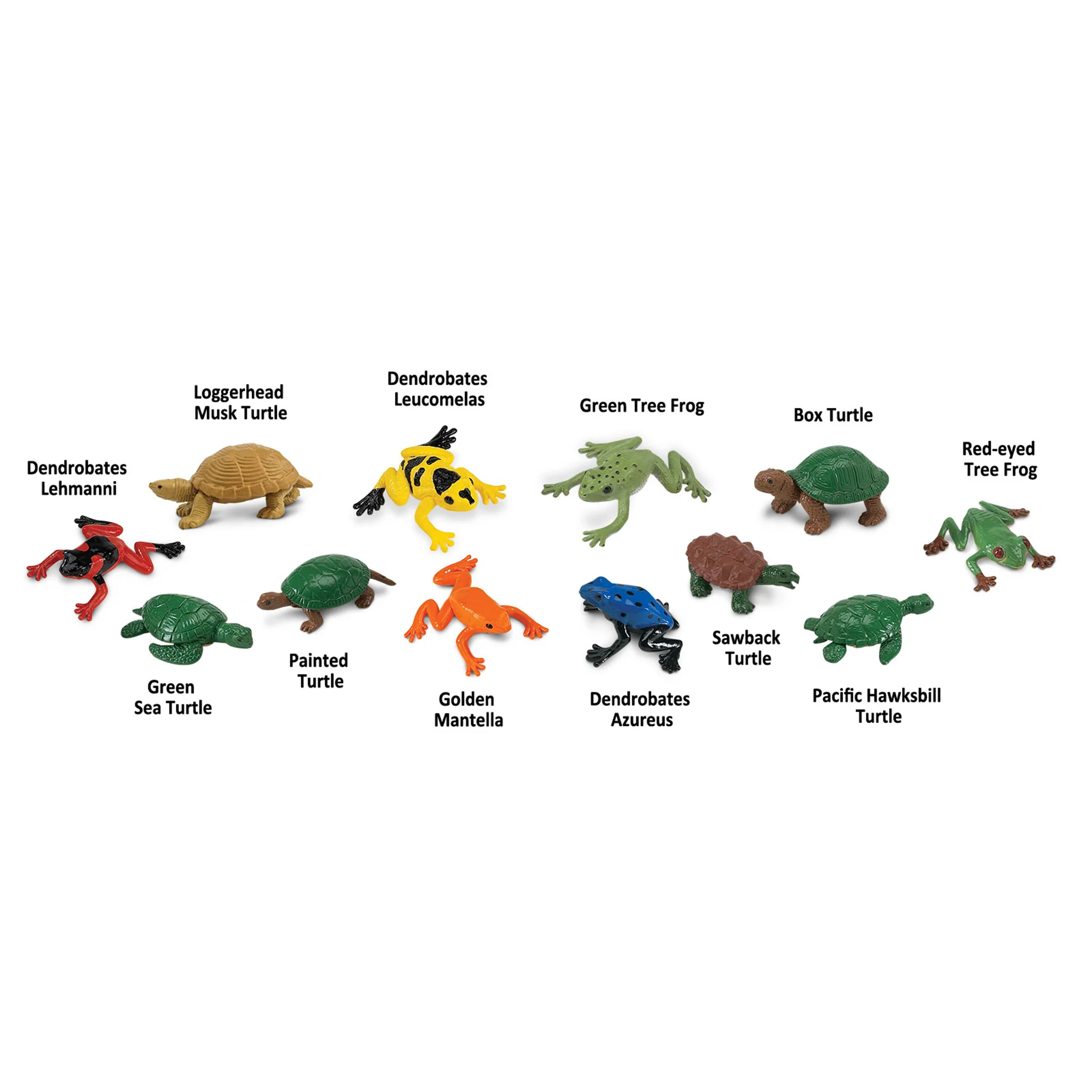 Safari Ltd Frogs And Turtles Toob - Image 2