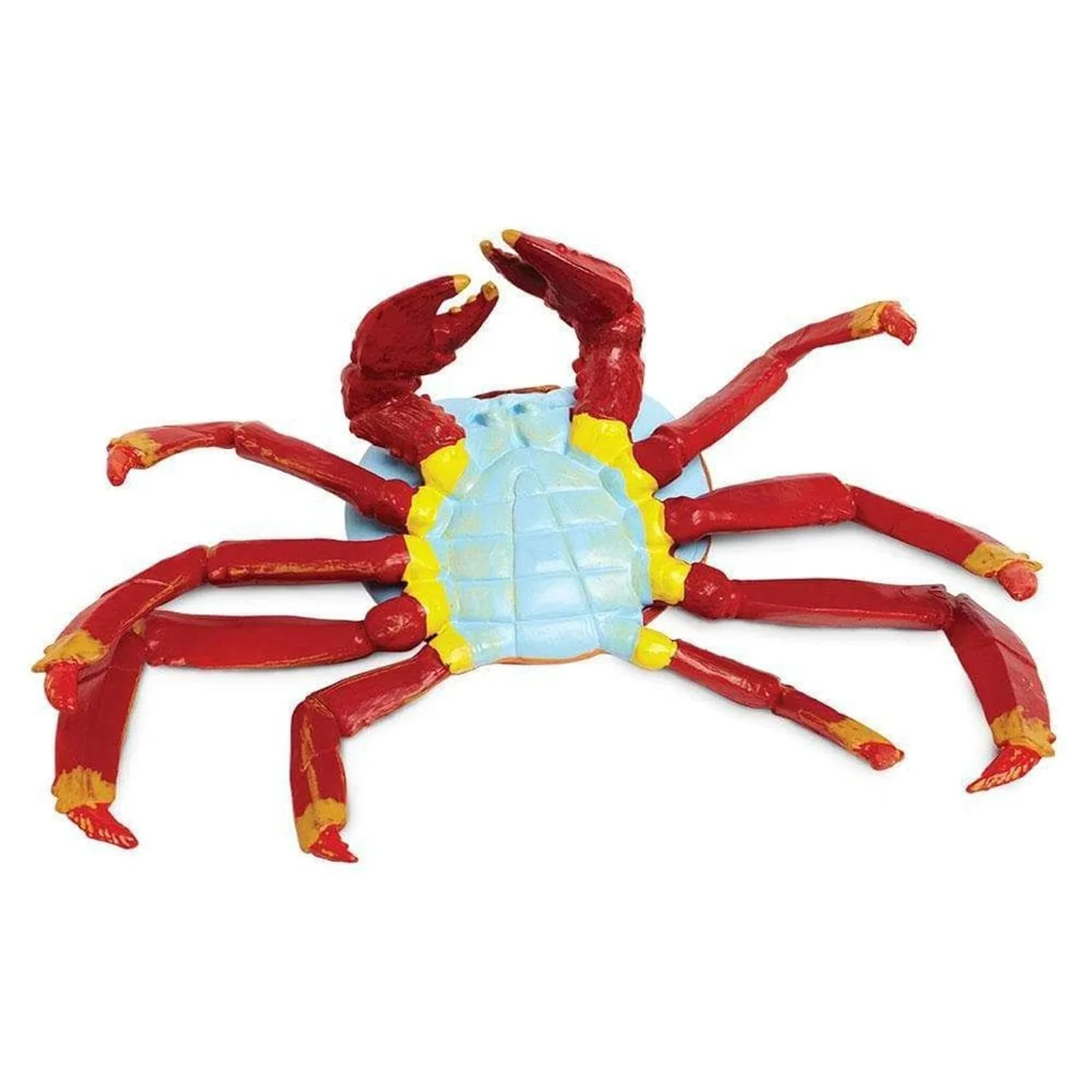 Safari Ltd Galapagos Sally Lightfoot Crab XL - Image 2