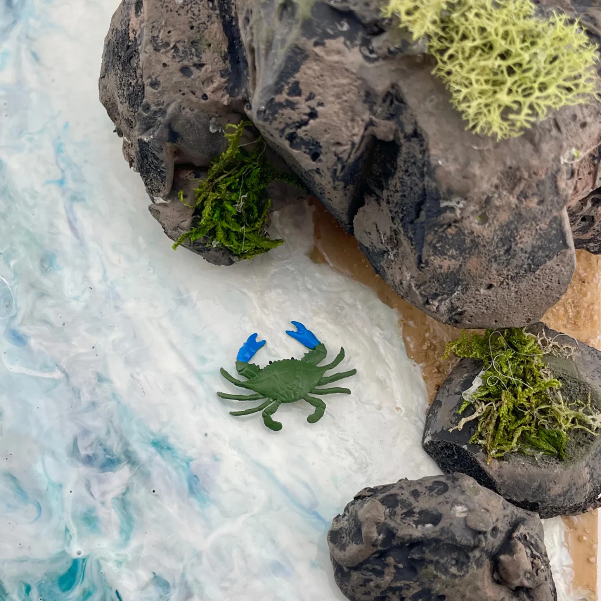 Safari Ltd Good Luck Mini Blue Crab - Image 7