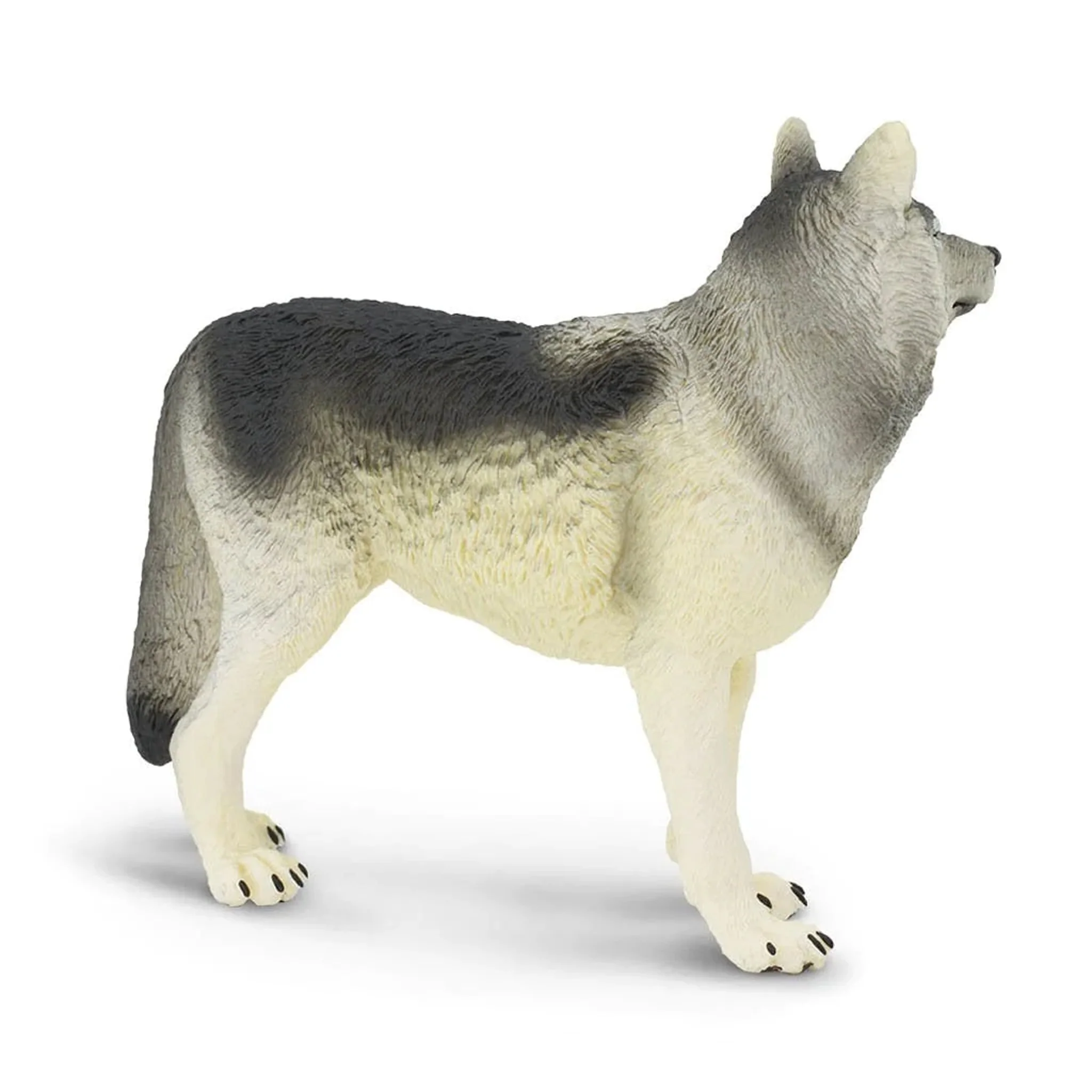 Safari Ltd Gray Wolf XL - Image 4