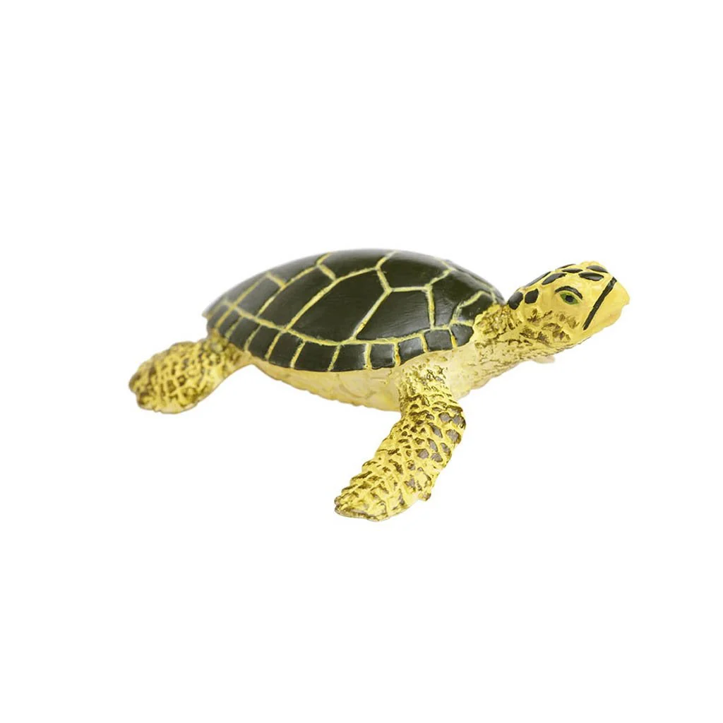Safari Ltd Green Sea Turtle Baby - Image 2