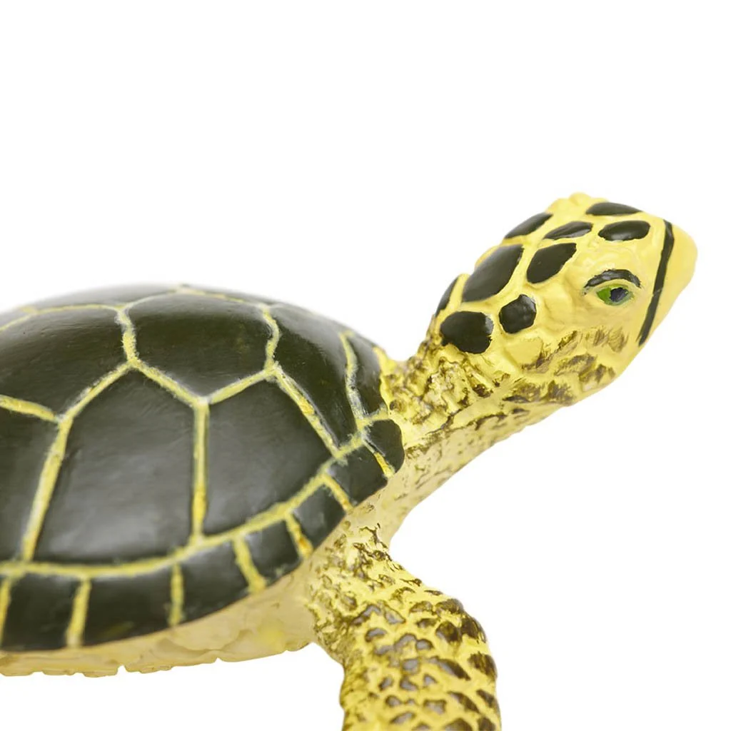 Safari Ltd Green Sea Turtle Baby - Image 4