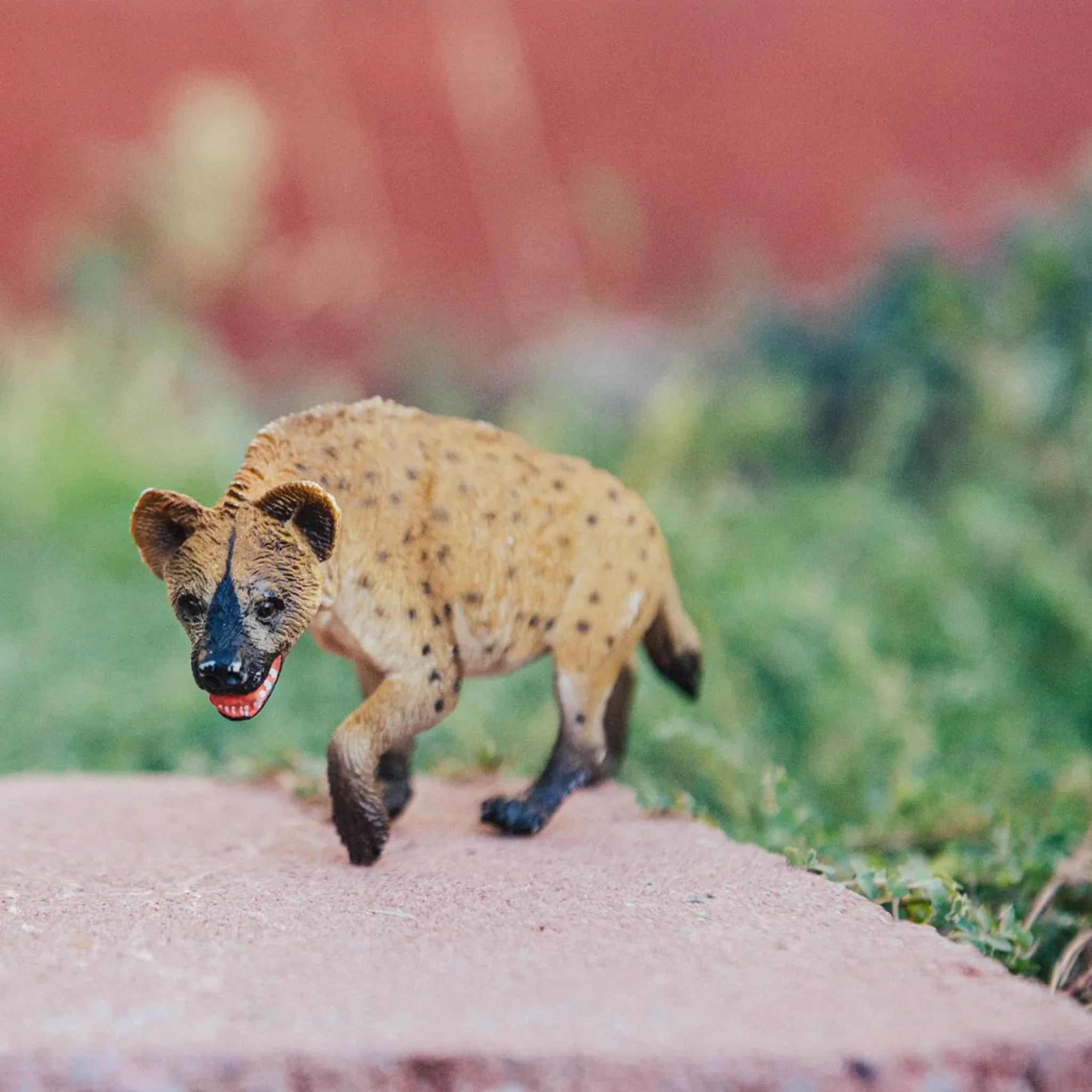 Safari Ltd Hyena - Image 6