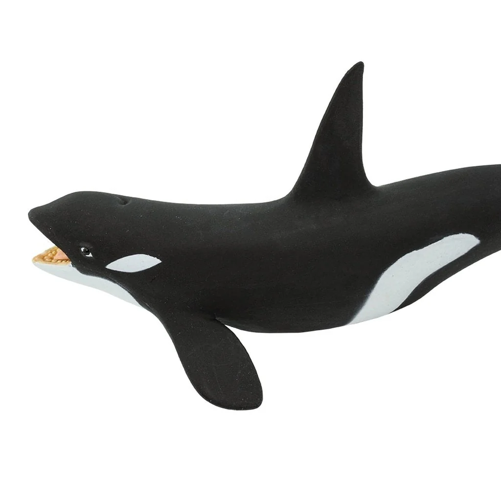 Safari Ltd Killer Whale - Image 4