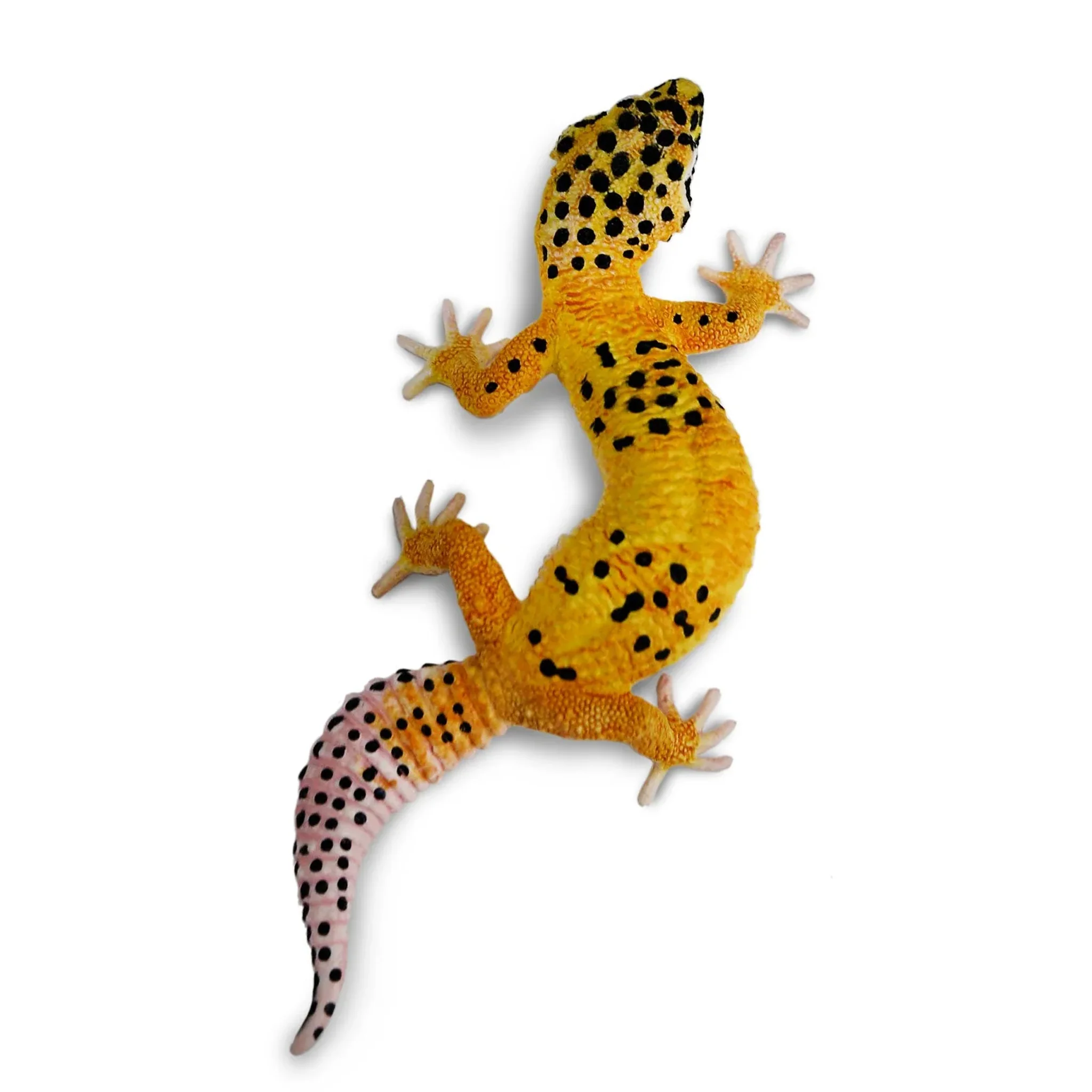 Safari Ltd Leopard Gecko XL - Image 3