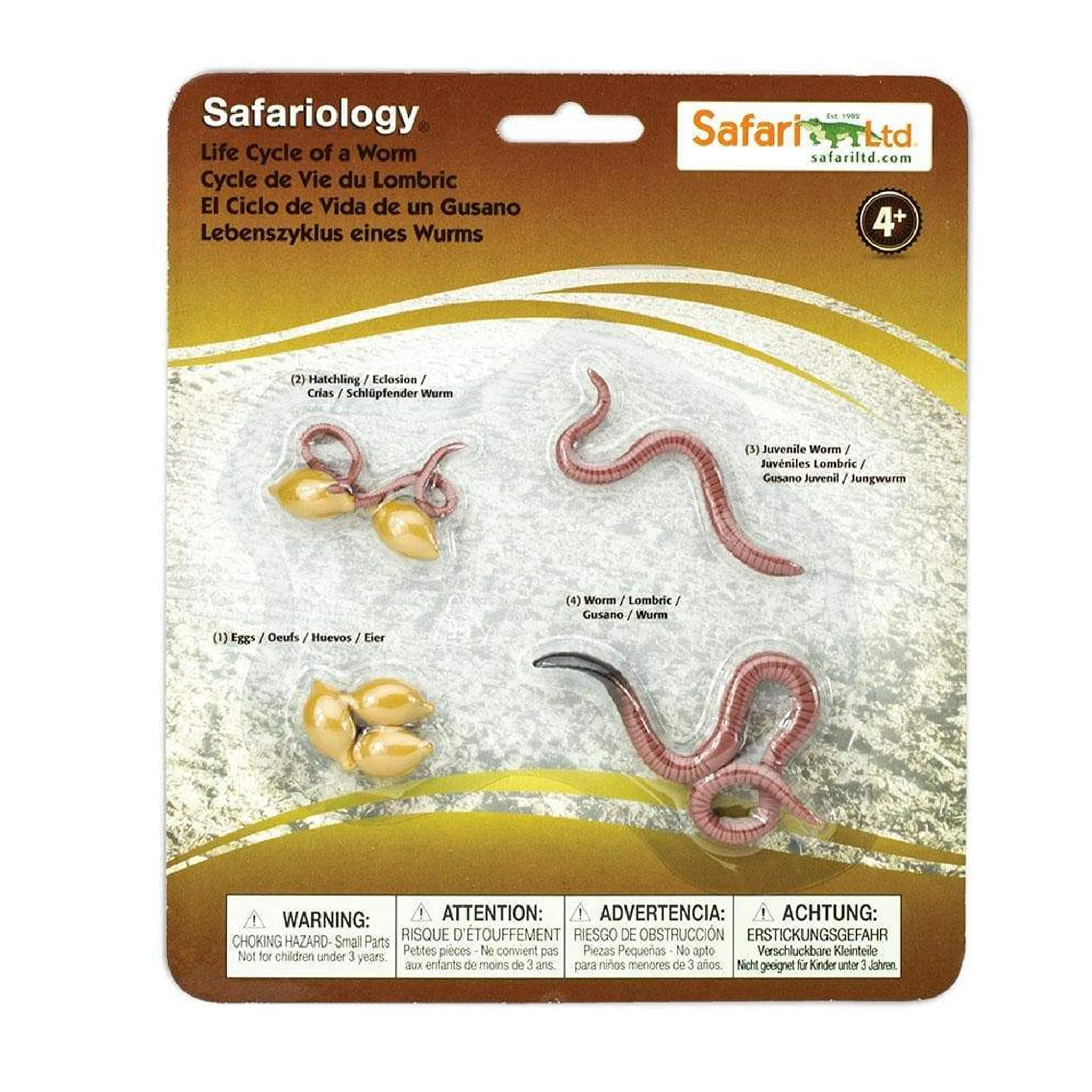 Safari Ltd Life Cycle Of A Worm - Image 4
