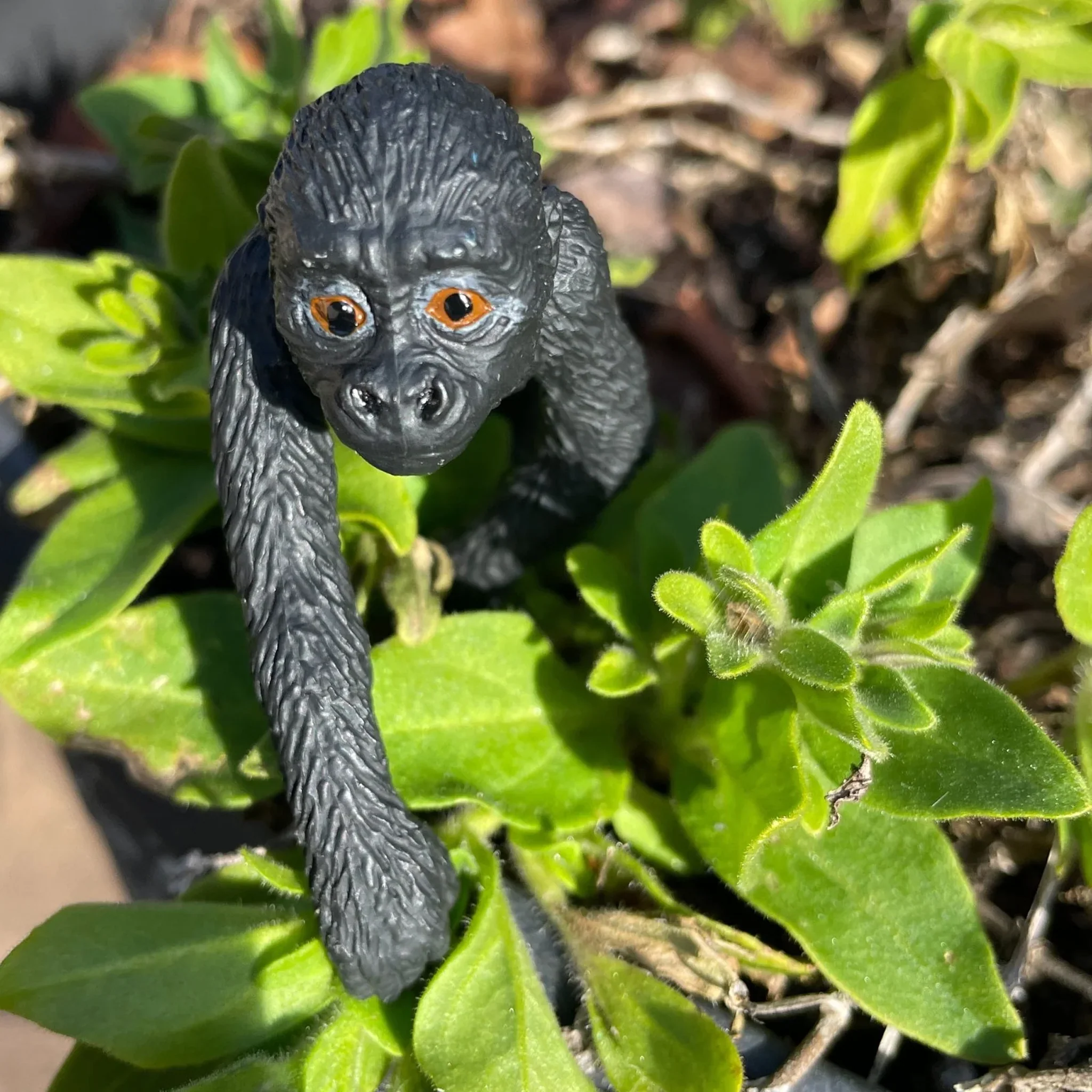 Safari Ltd Lowland Gorilla Baby - Image 7