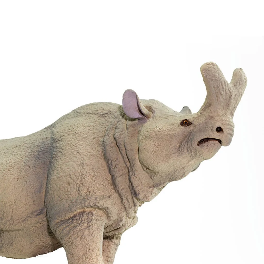 Safari Ltd Megacerops - Image 6