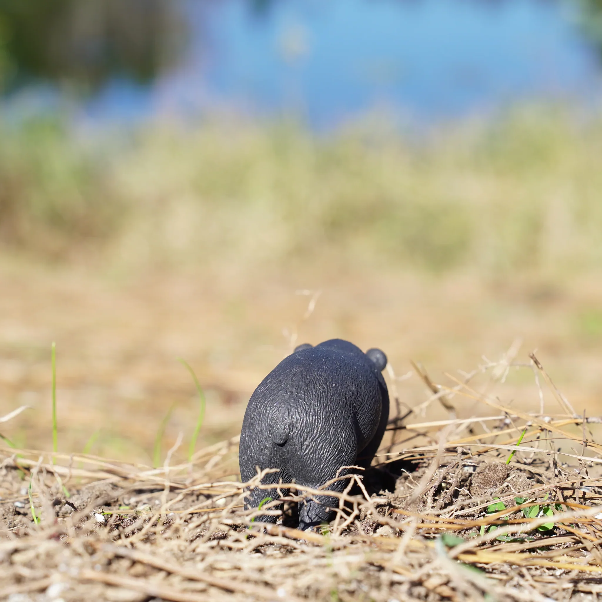 Safari Ltd Moon Bear - Image 9