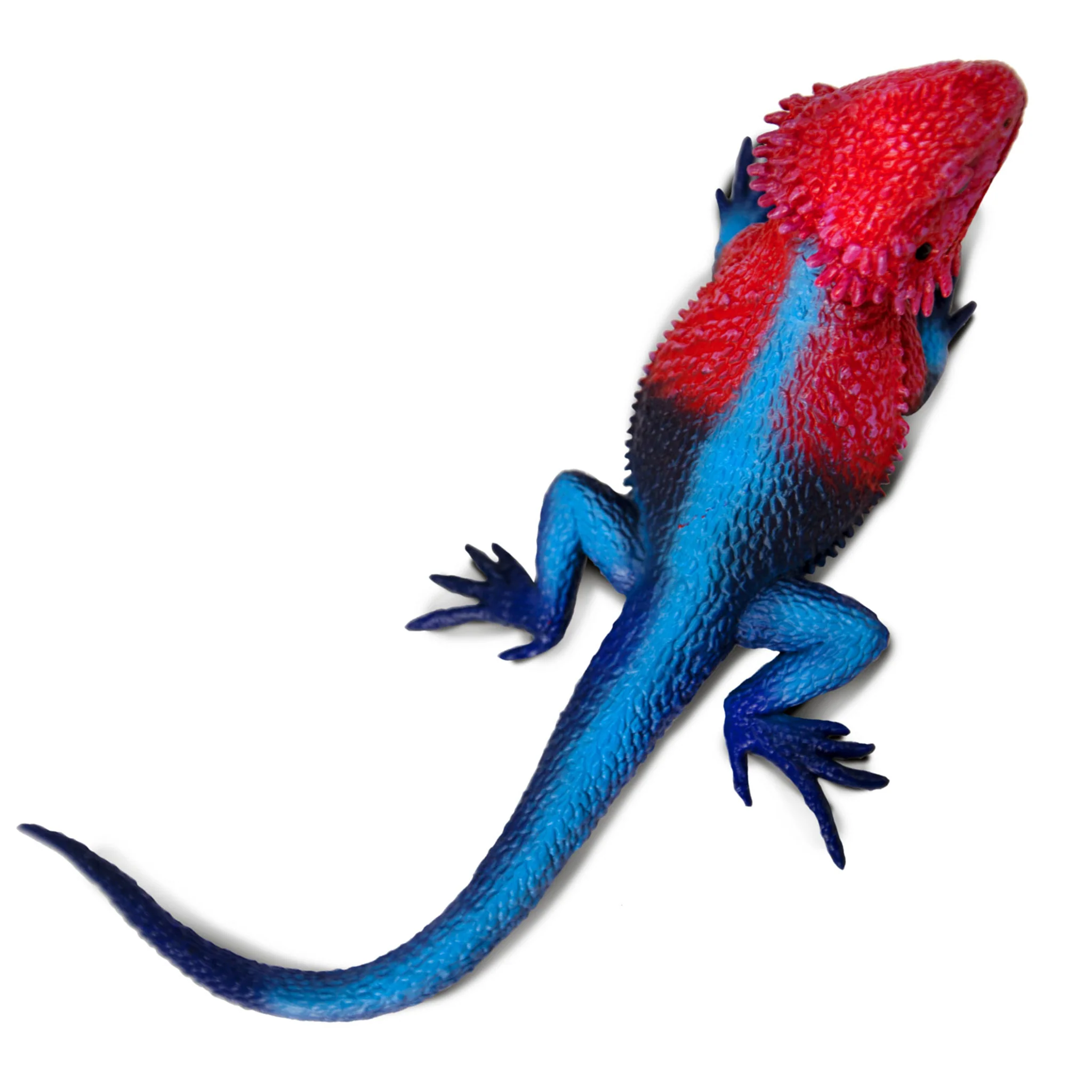 Safari Ltd Mwanza Flat-Headed Rock Agama XL - Image 3