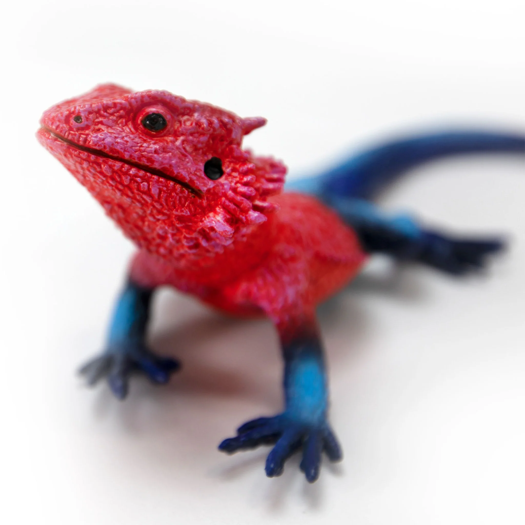 Safari Ltd Mwanza Flat-Headed Rock Agama XL - Image 5