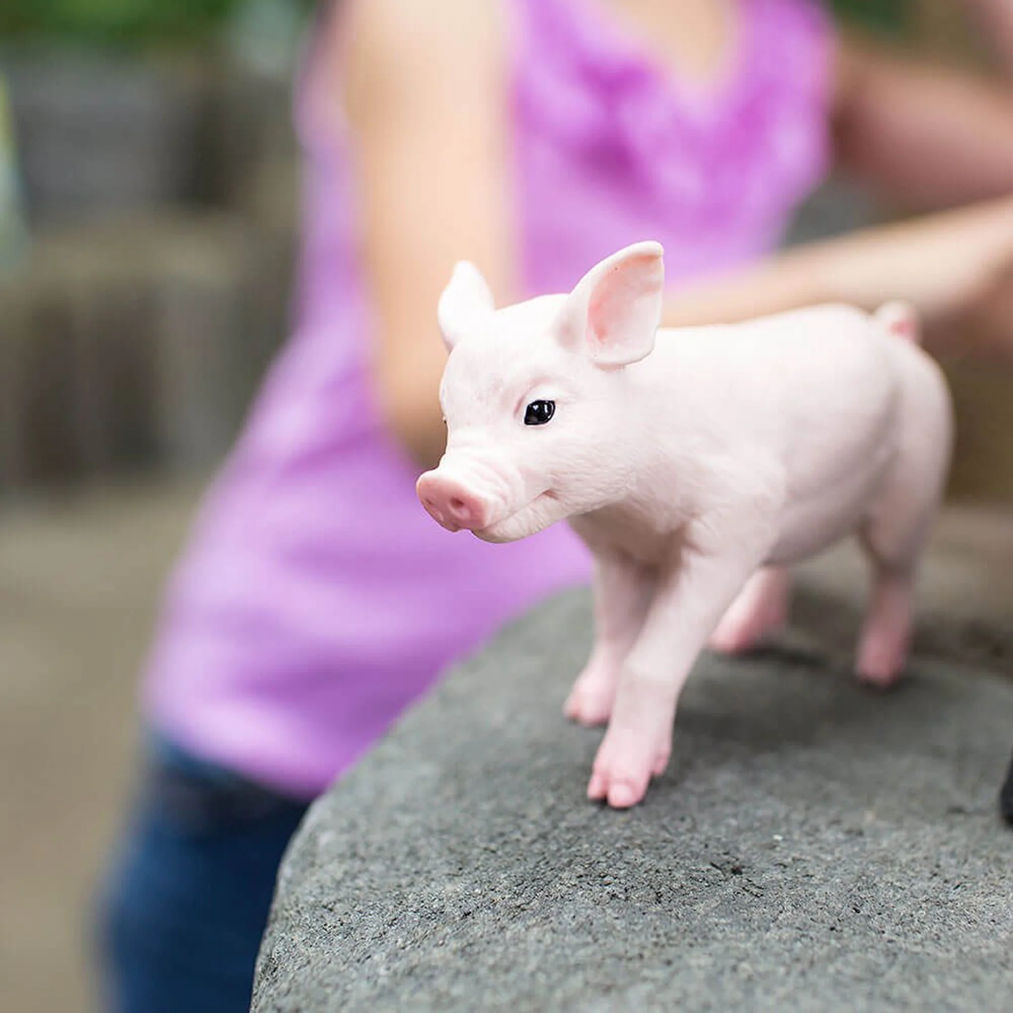 Safari Ltd Piglet XL - Image 6