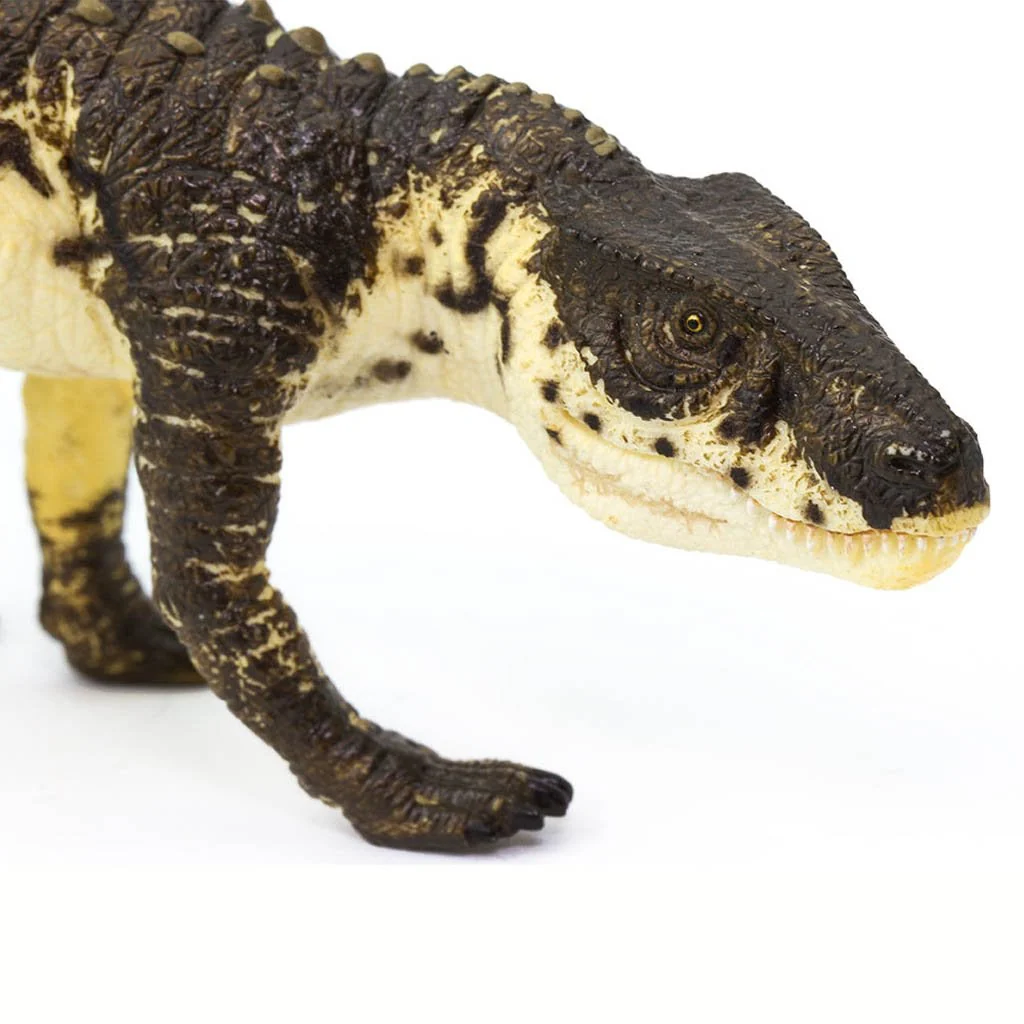 Safari Ltd Postosuchus - Image 4