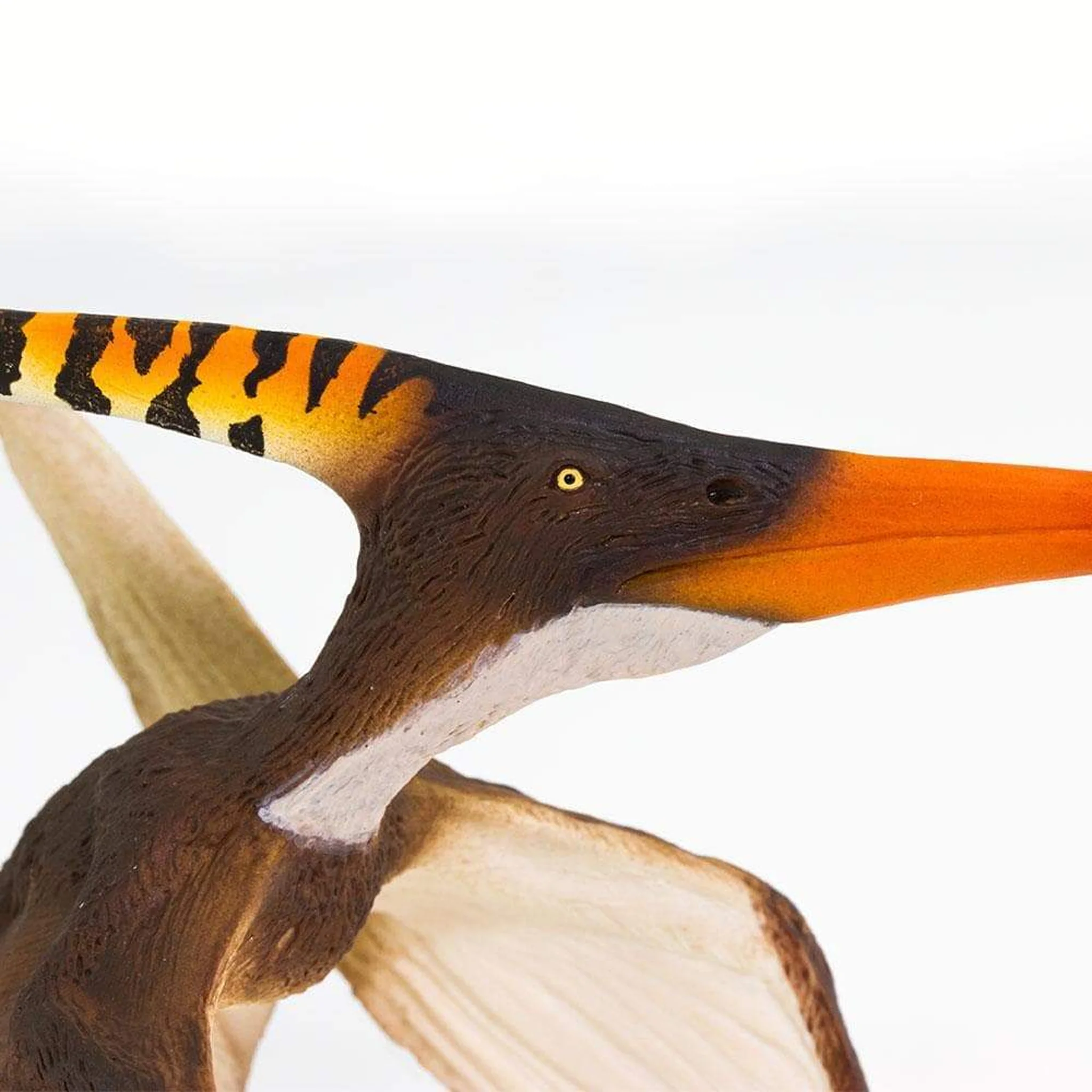 Safari Ltd Pteranodon - Image 7
