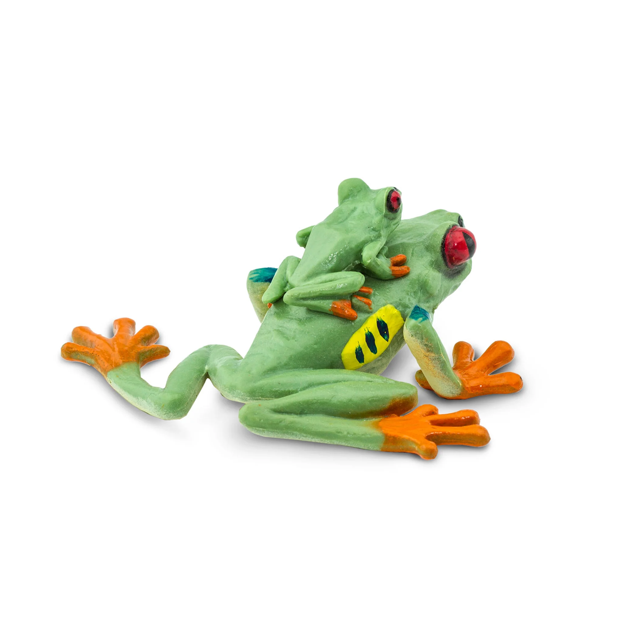 Safari Ltd Red-Eyed Tree Frog XL - Image 2