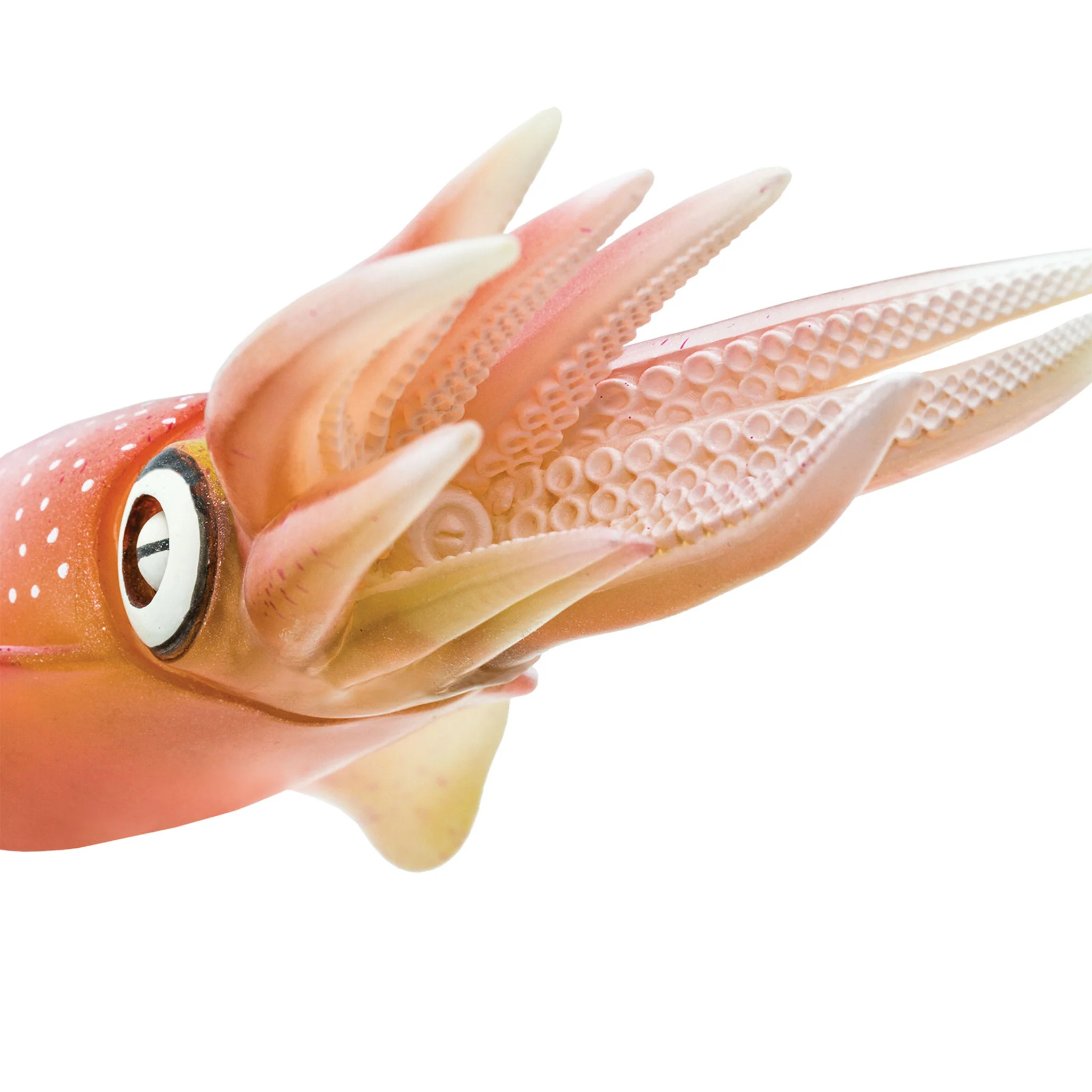 Safari Ltd Reef Squid XL - Image 6