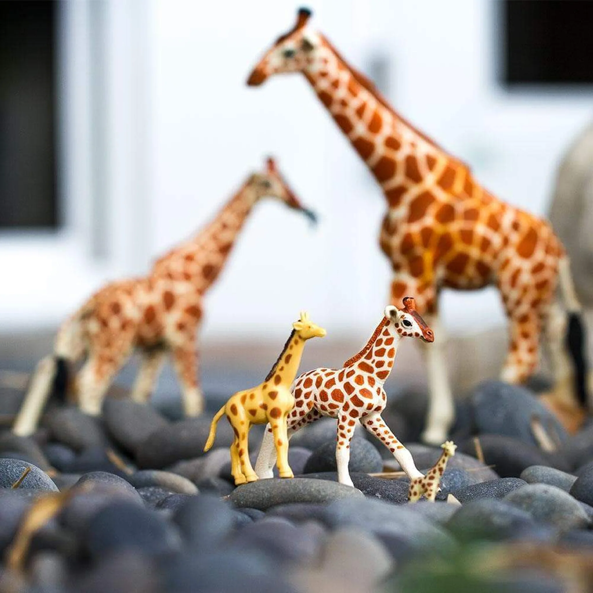 Safari Ltd Reticulated Giraffe Baby - Image 6