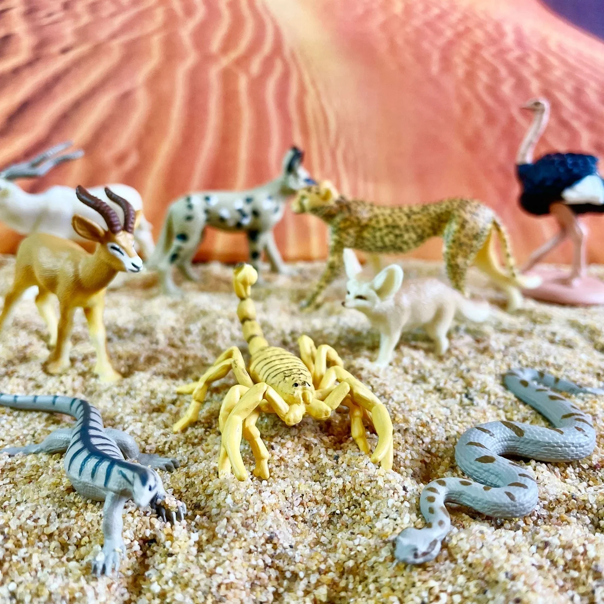 Safari Ltd Sahara Desert Animals Toob - Image 5