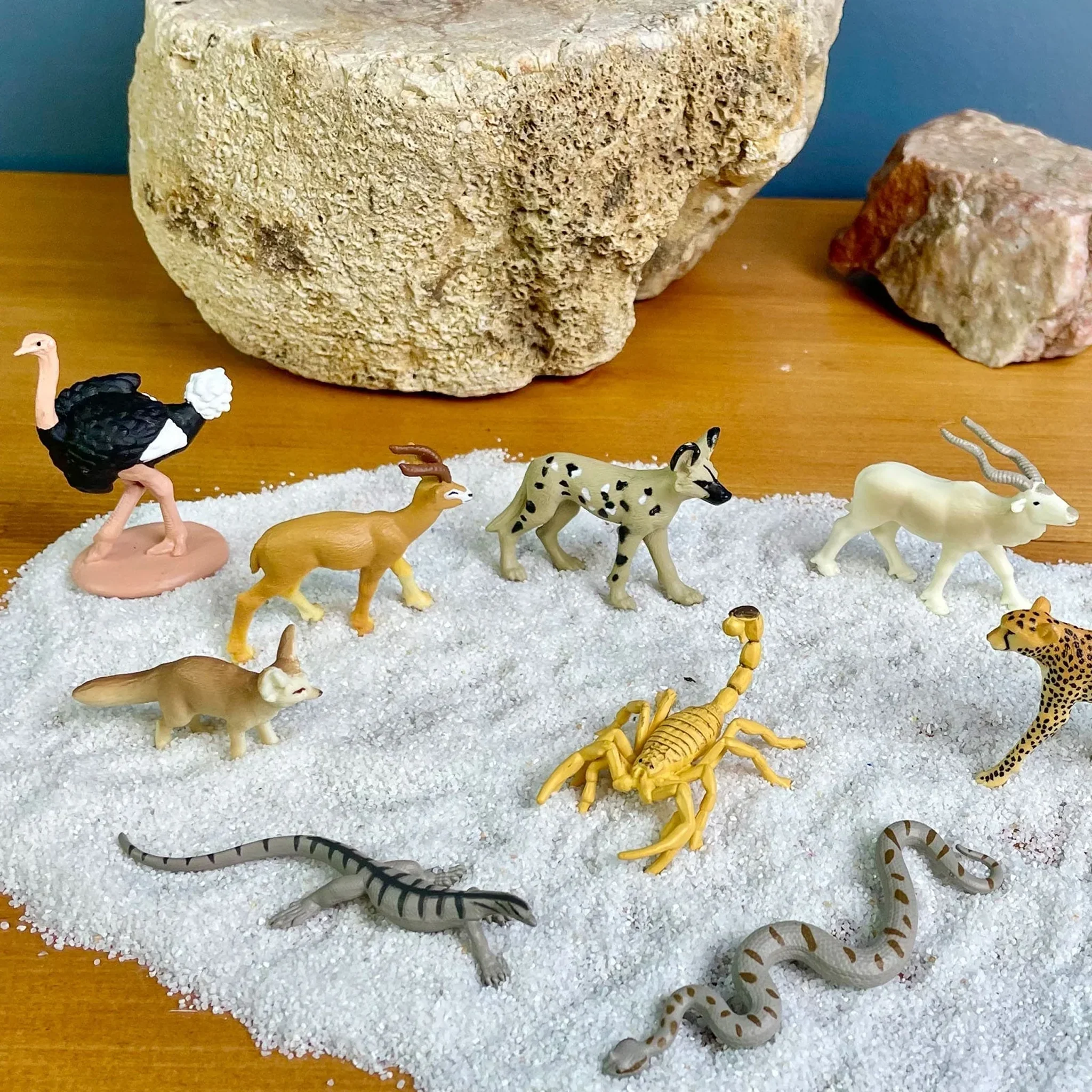 Safari Ltd Sahara Desert Animals Toob - Image 6