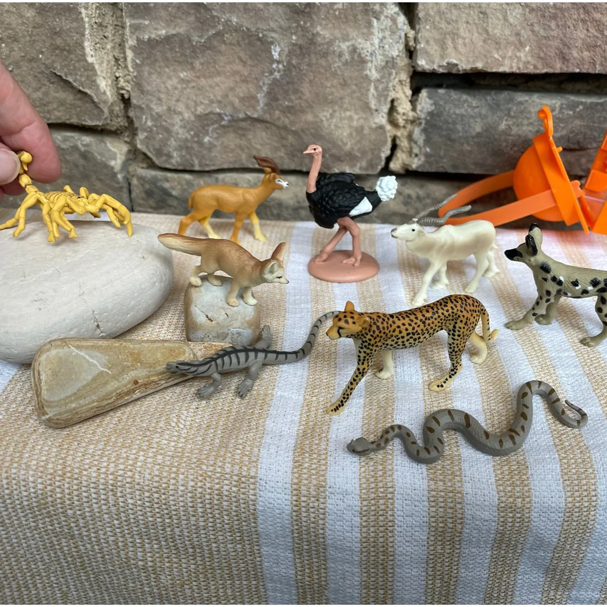 Safari Ltd Sahara Desert Animals Toob - Image 7