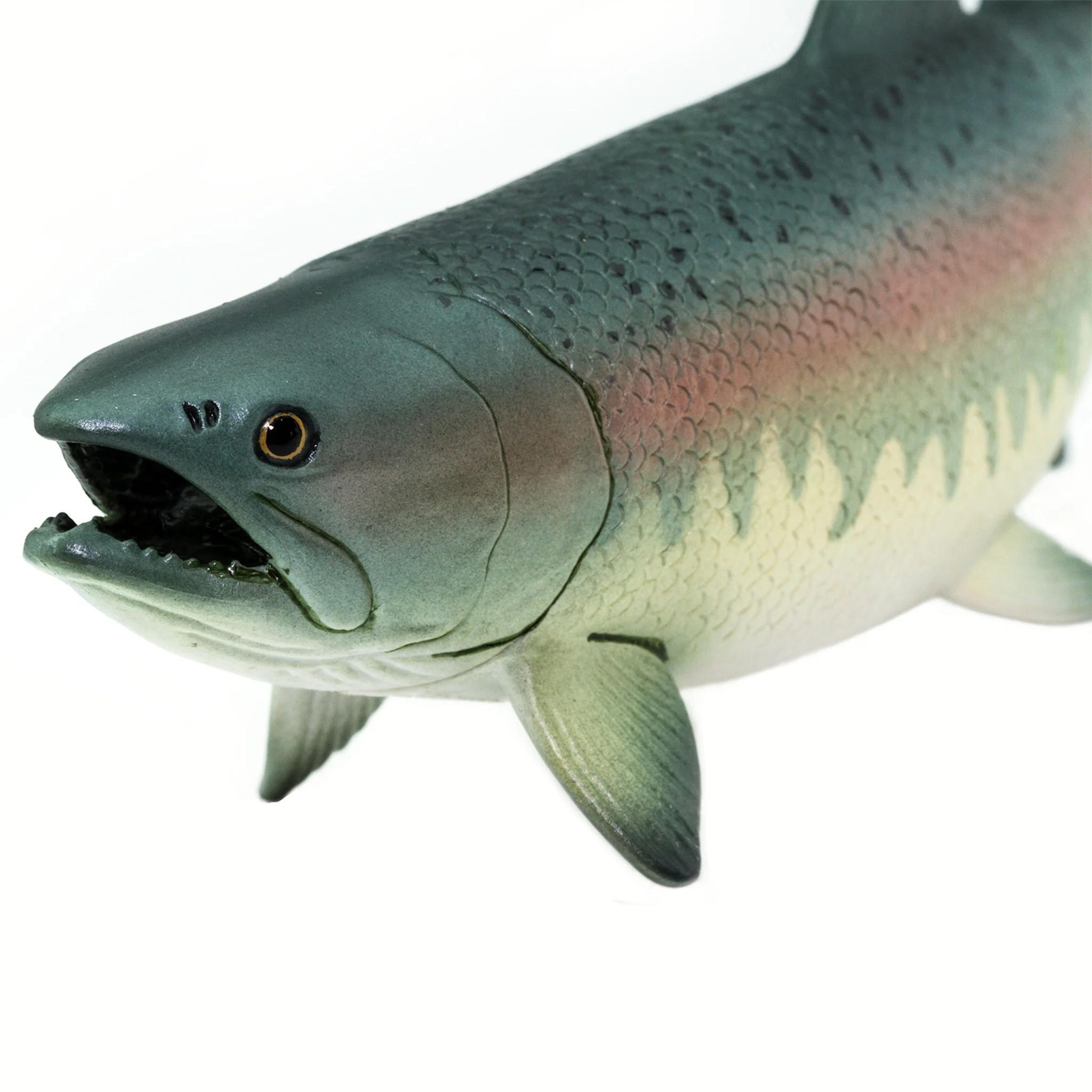 Safari Ltd Salmon XL - Image 7