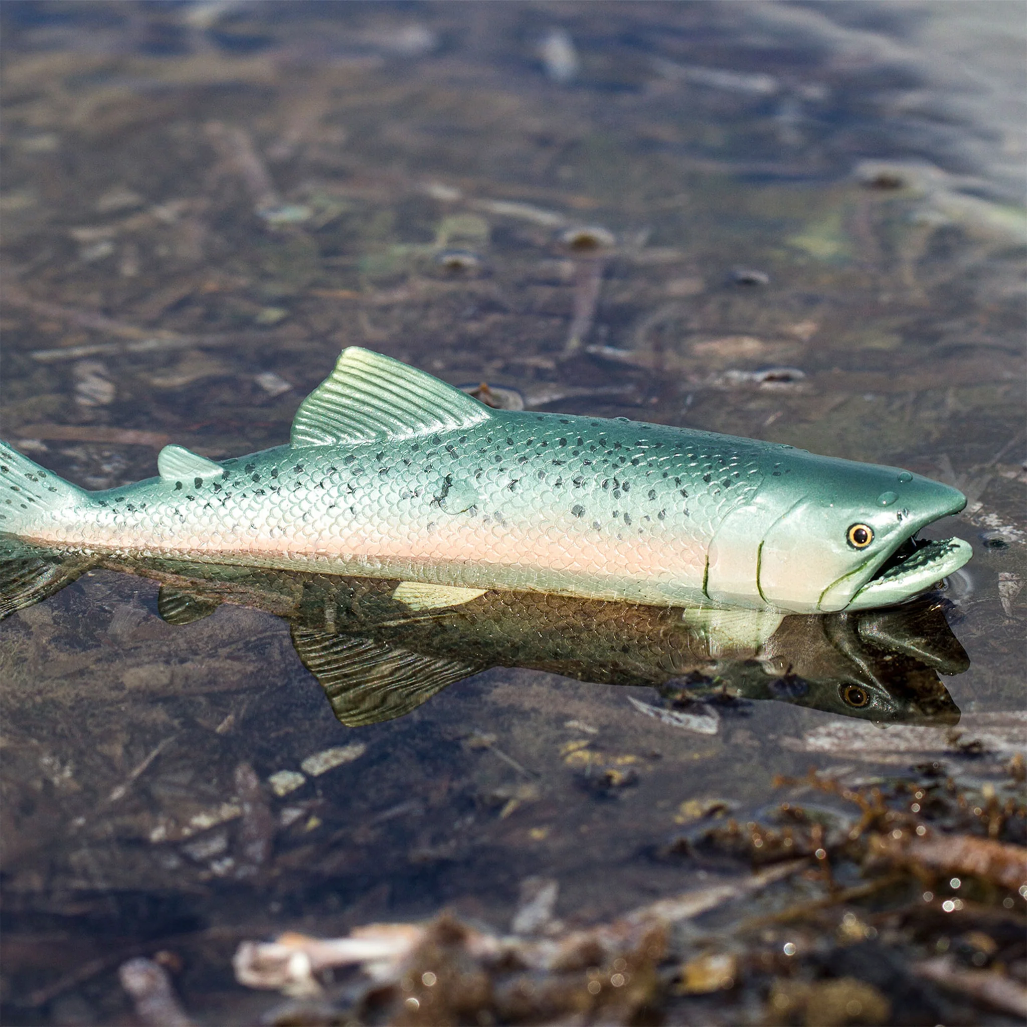 Safari Ltd Salmon XL - Image 8