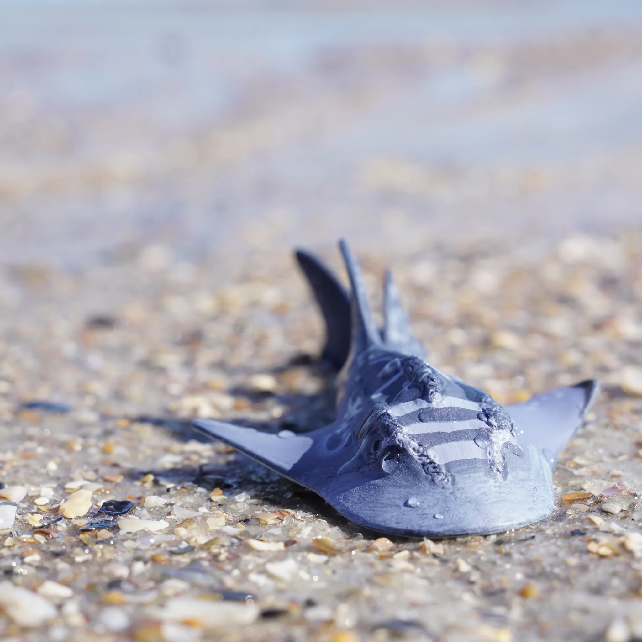 Safari Ltd Shark Ray - Image 7