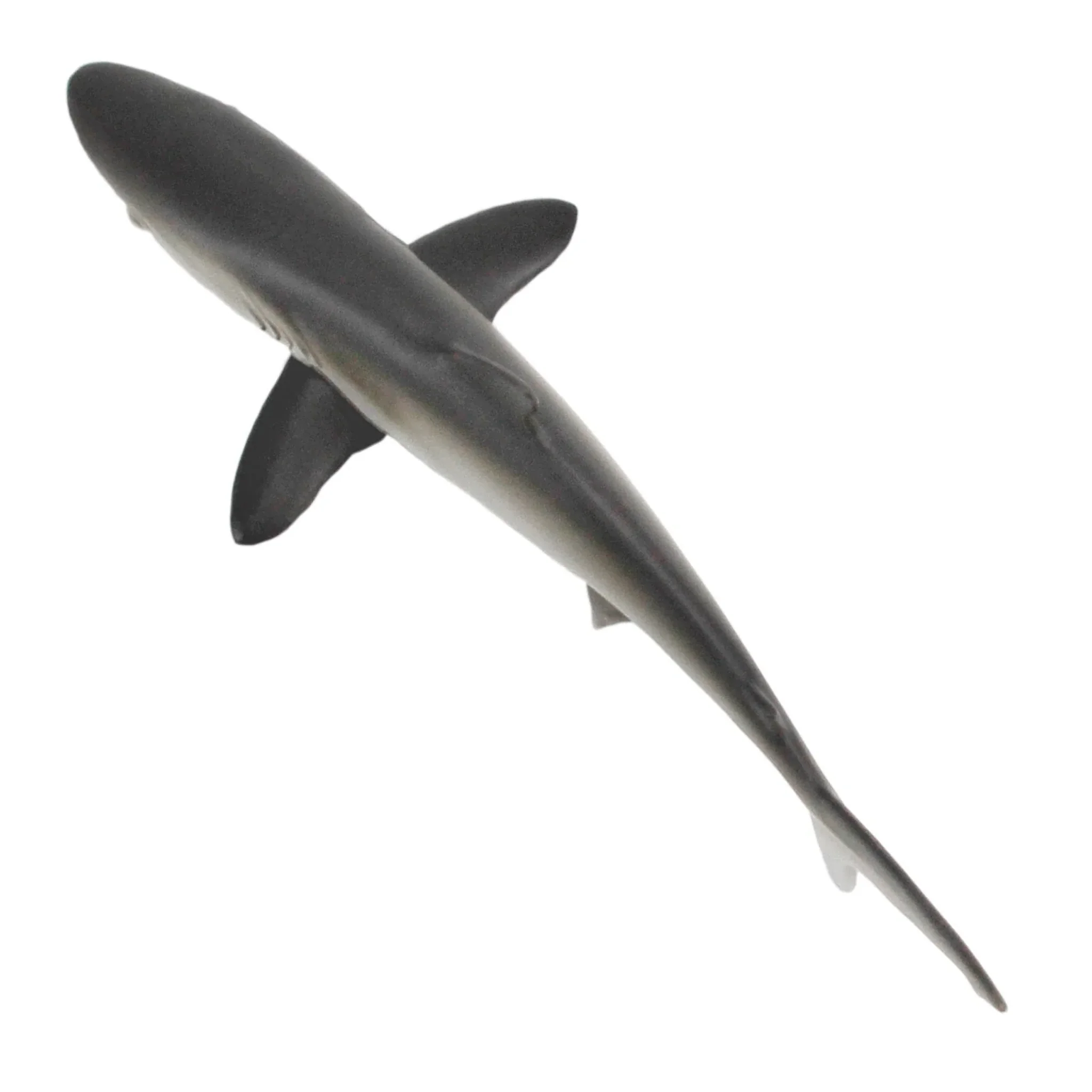 Safari Ltd Silky Shark - Image 4