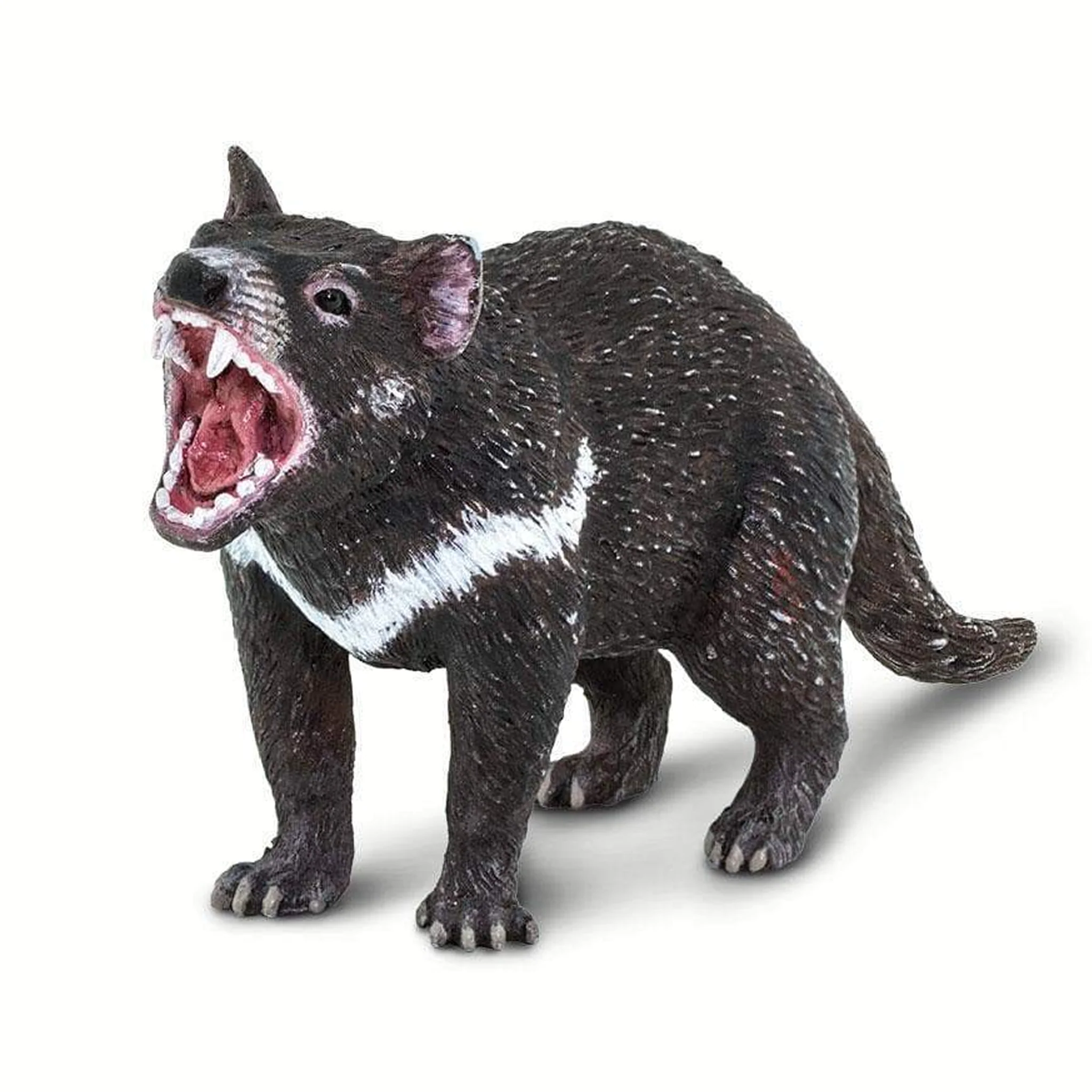 Safari Ltd Tasmanian Devil - Image 2