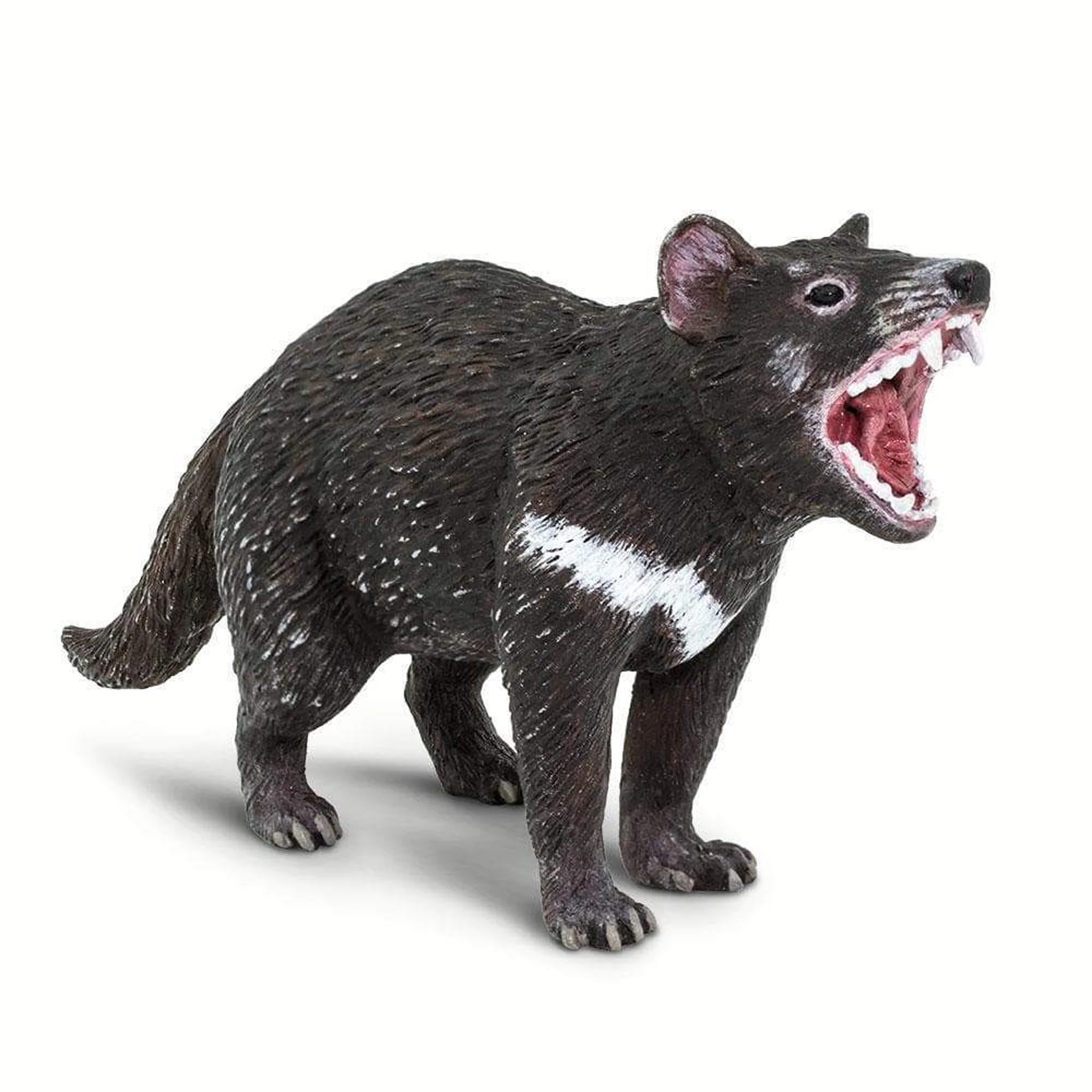 Safari Ltd Tasmanian Devil - Image 3