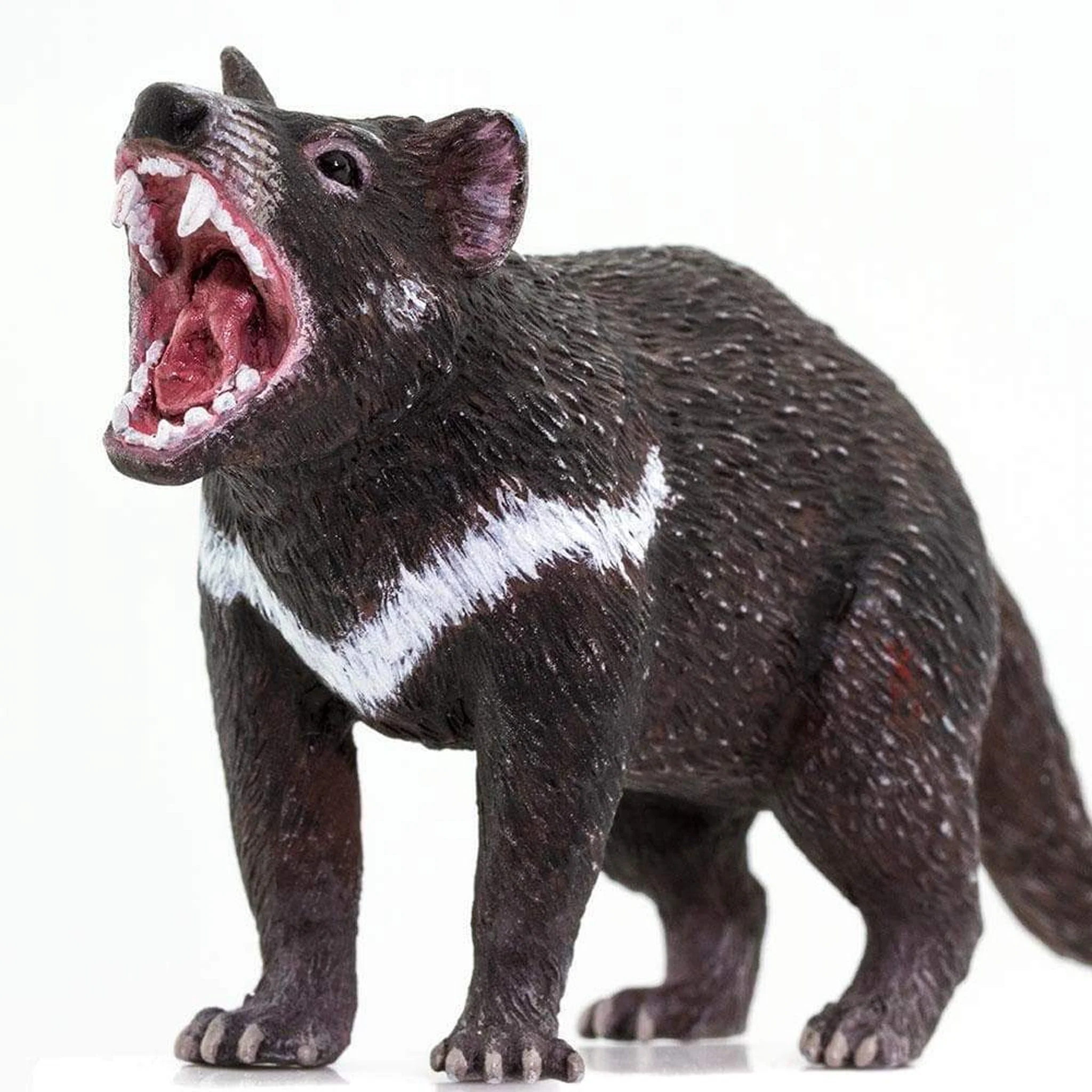 Safari Ltd Tasmanian Devil - Image 5