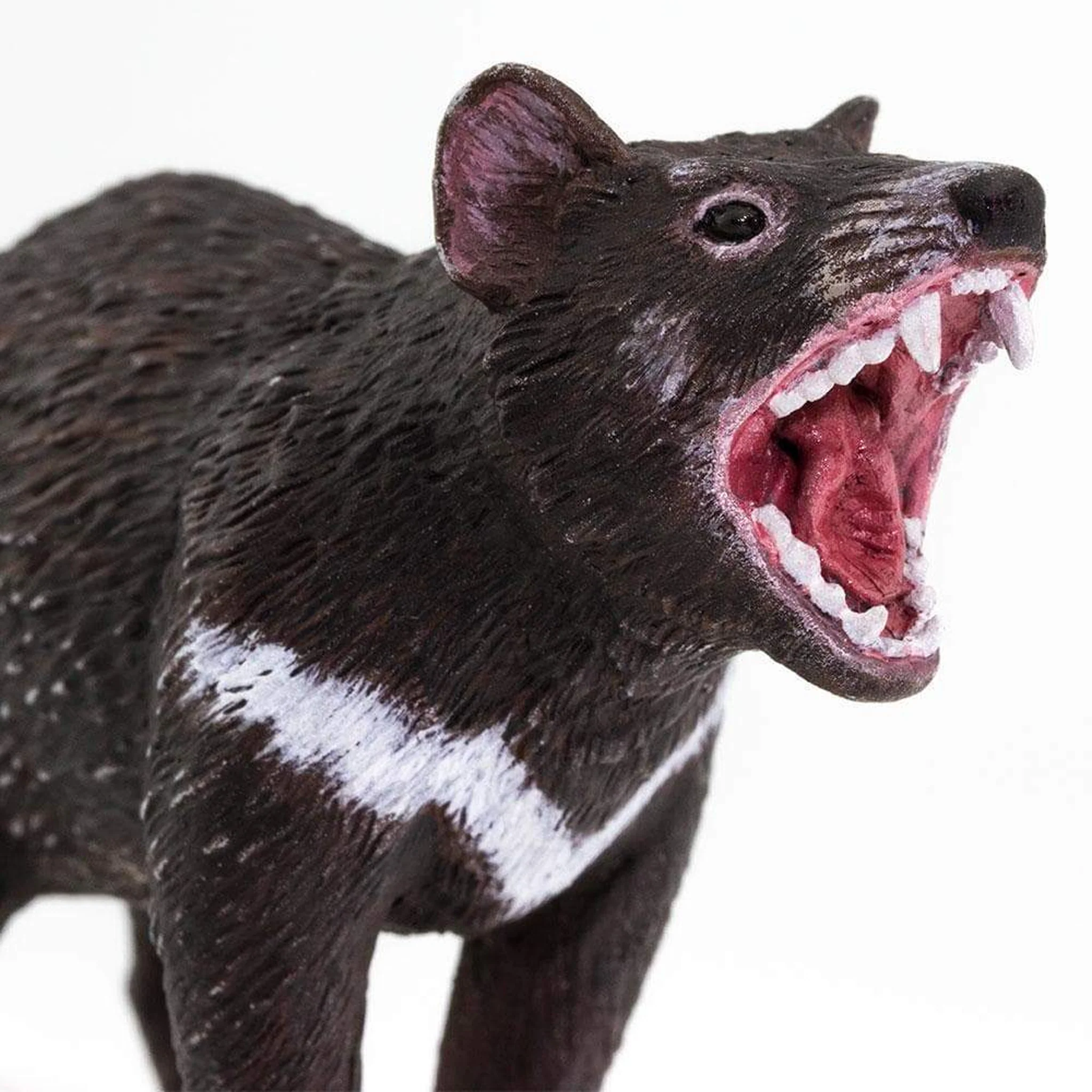 Safari Ltd Tasmanian Devil - Image 7