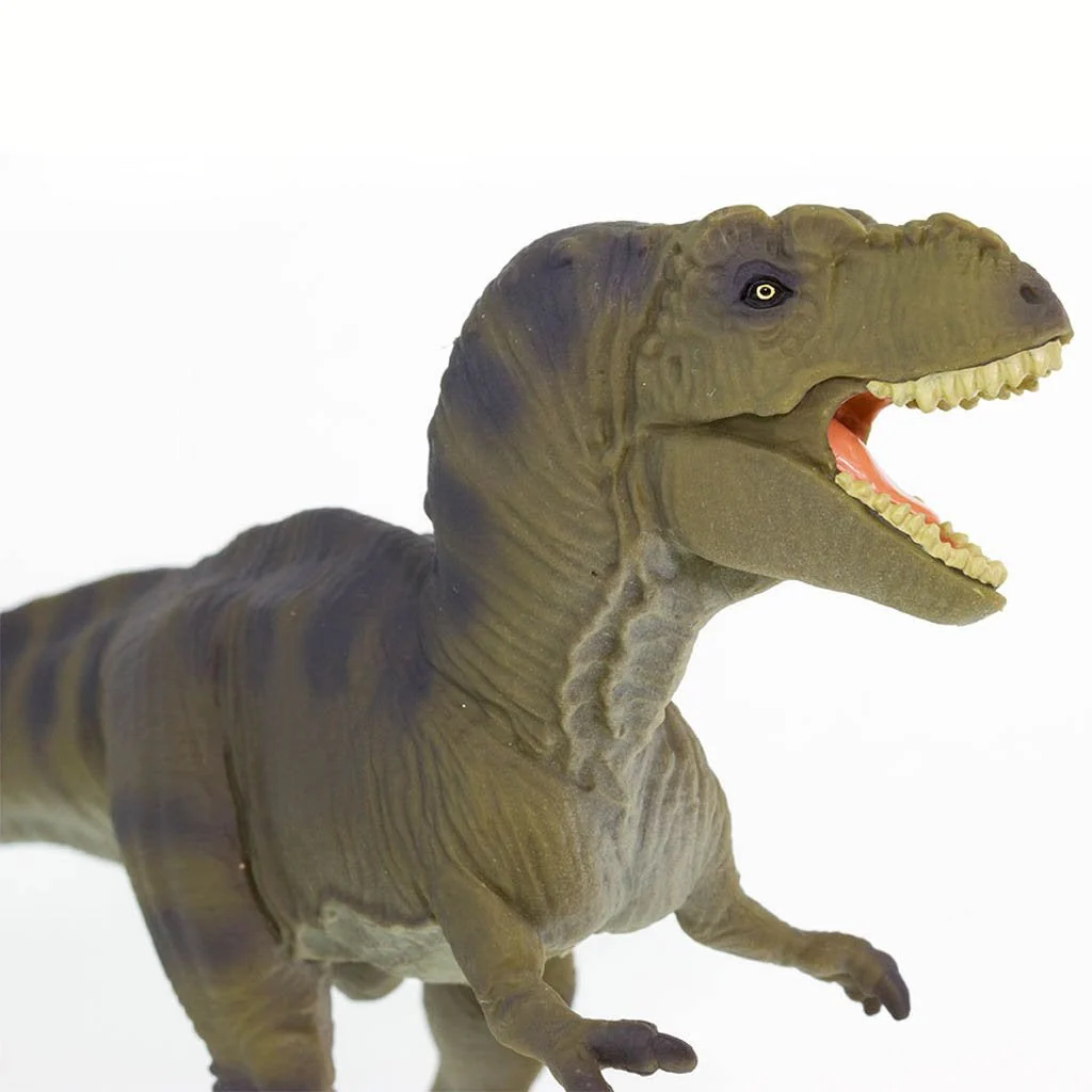 Safari Ltd Tyrannosaurus Rex - Image 5