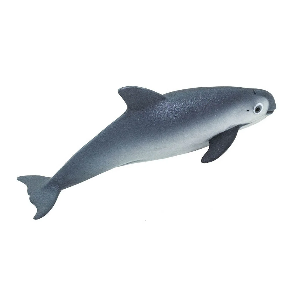 Safari Ltd Vaquita Porpoise - Image 2