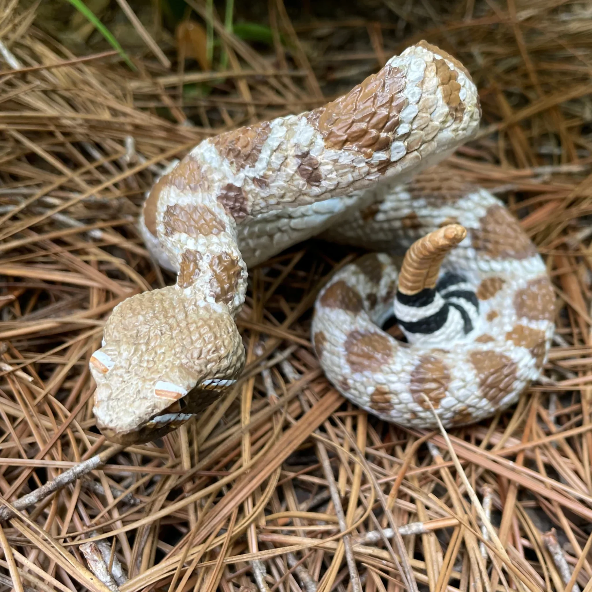 Safari Ltd Western Diamondback Rattlesnake XL - Image 10