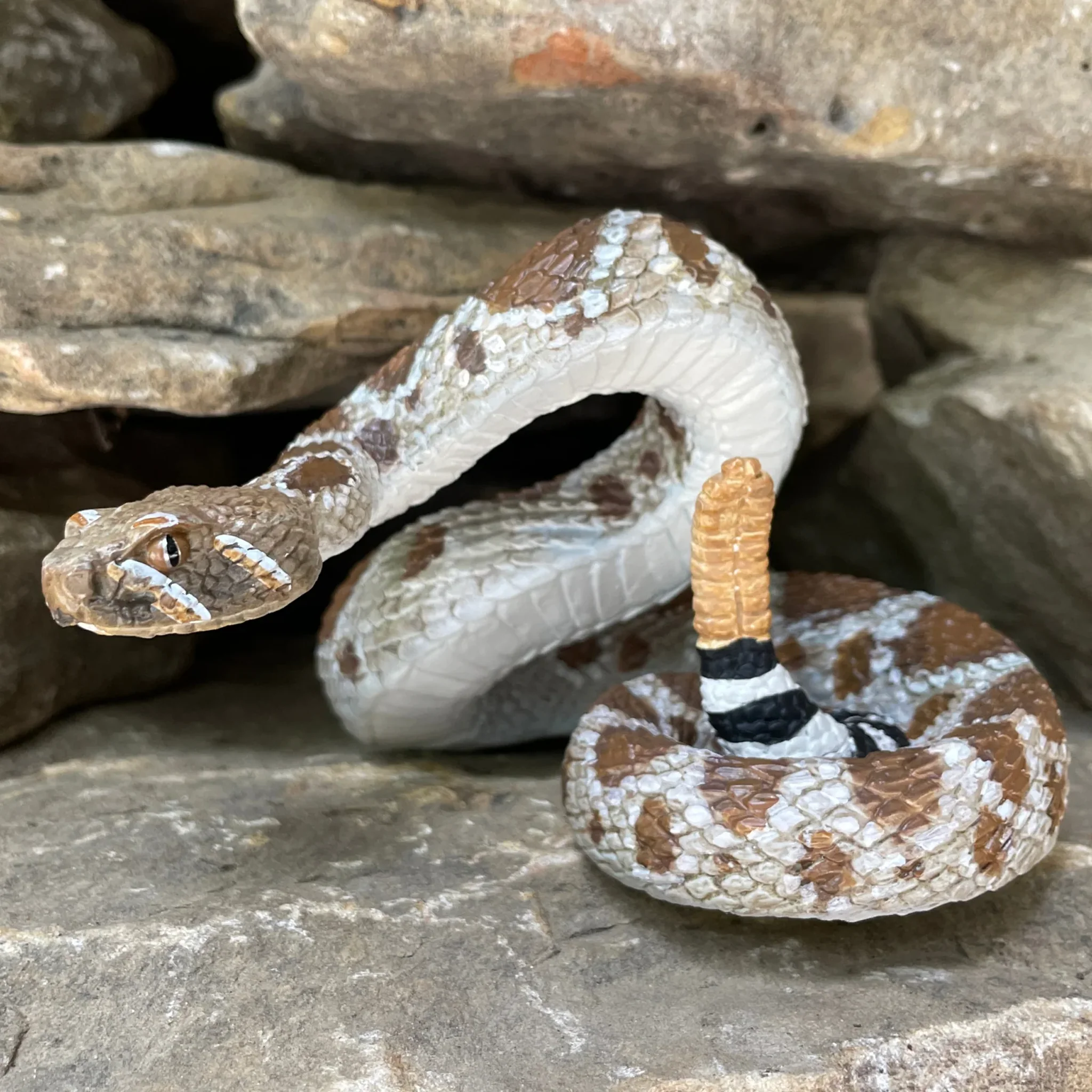Safari Ltd Western Diamondback Rattlesnake XL - Image 11