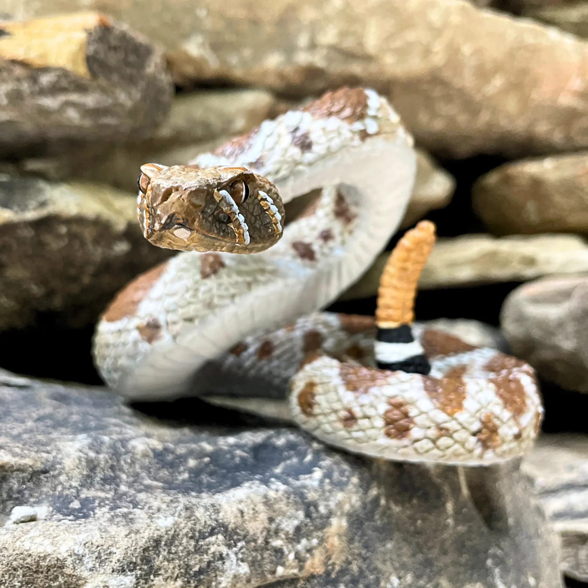 Safari Ltd Western Diamondback Rattlesnake XL - Image 12