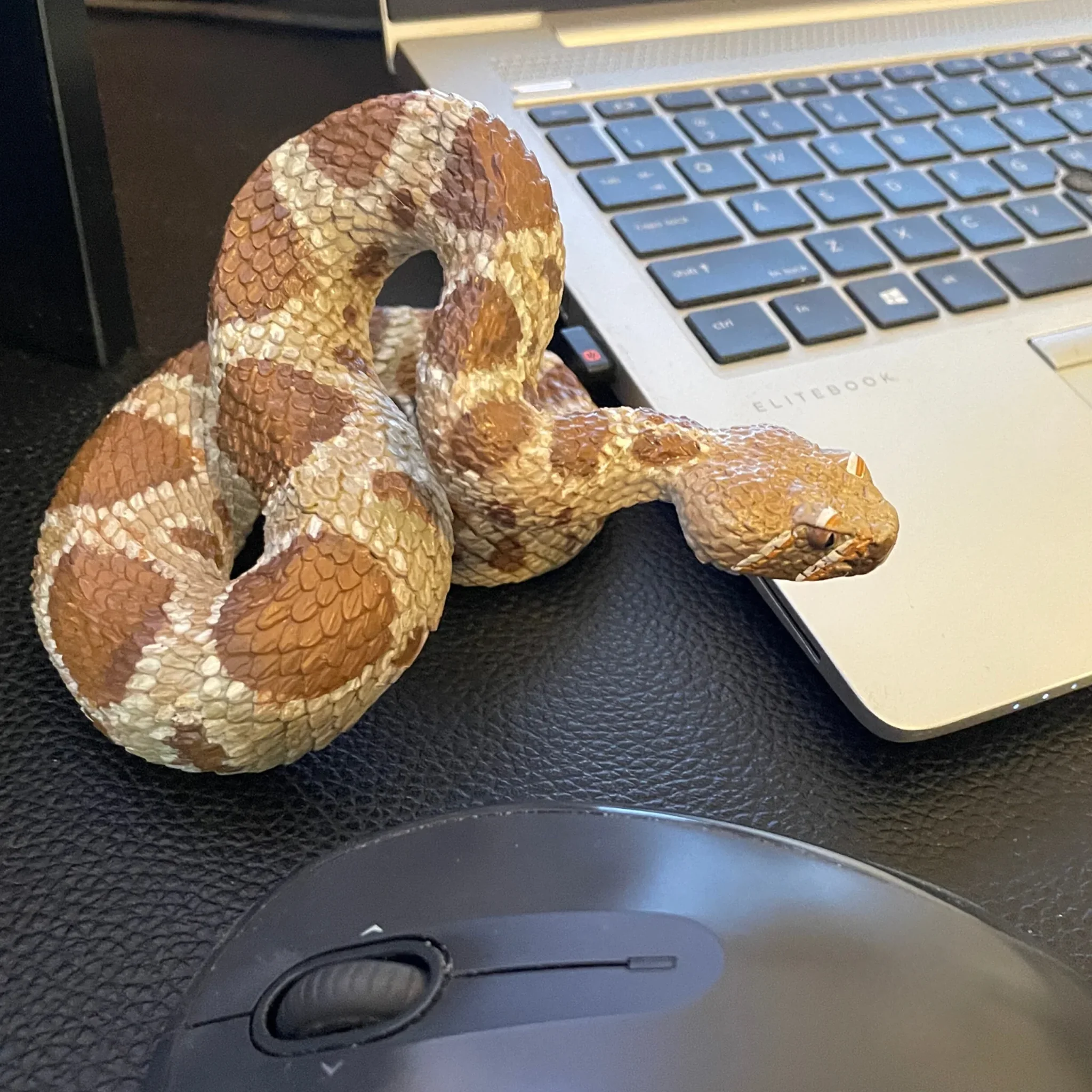 Safari Ltd Western Diamondback Rattlesnake XL - Image 13