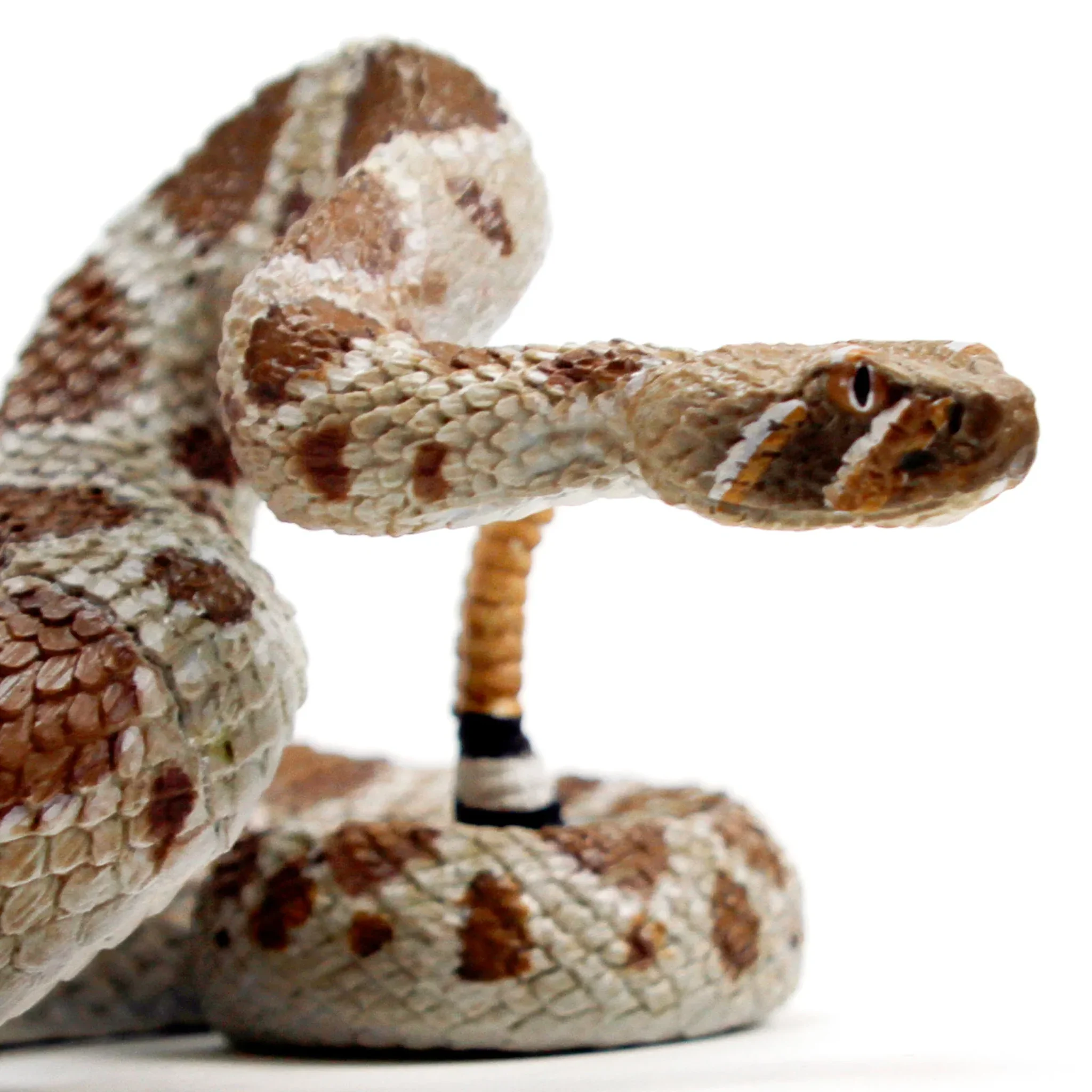 Safari Ltd Western Diamondback Rattlesnake XL - Image 5