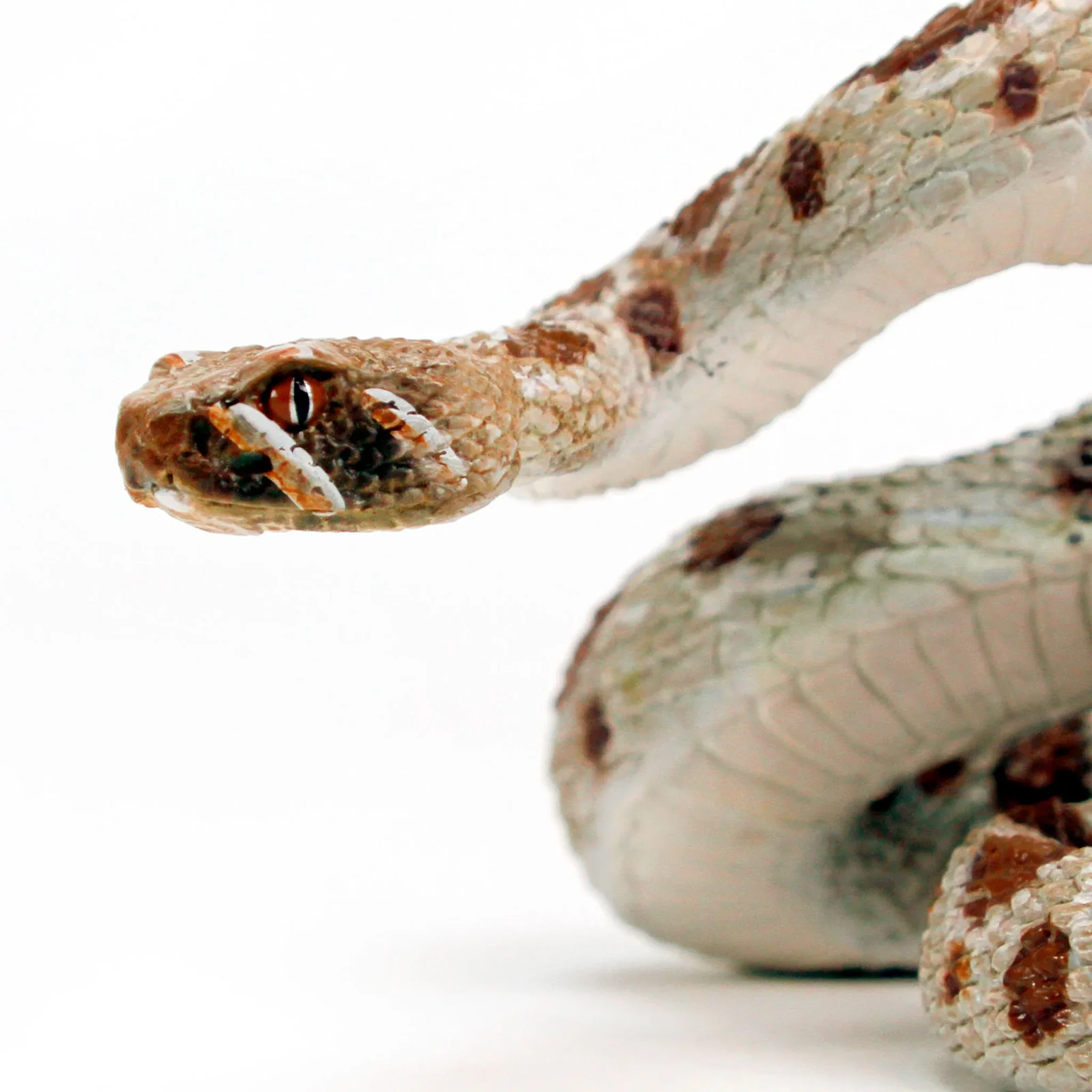 Safari Ltd Western Diamondback Rattlesnake XL - Image 6