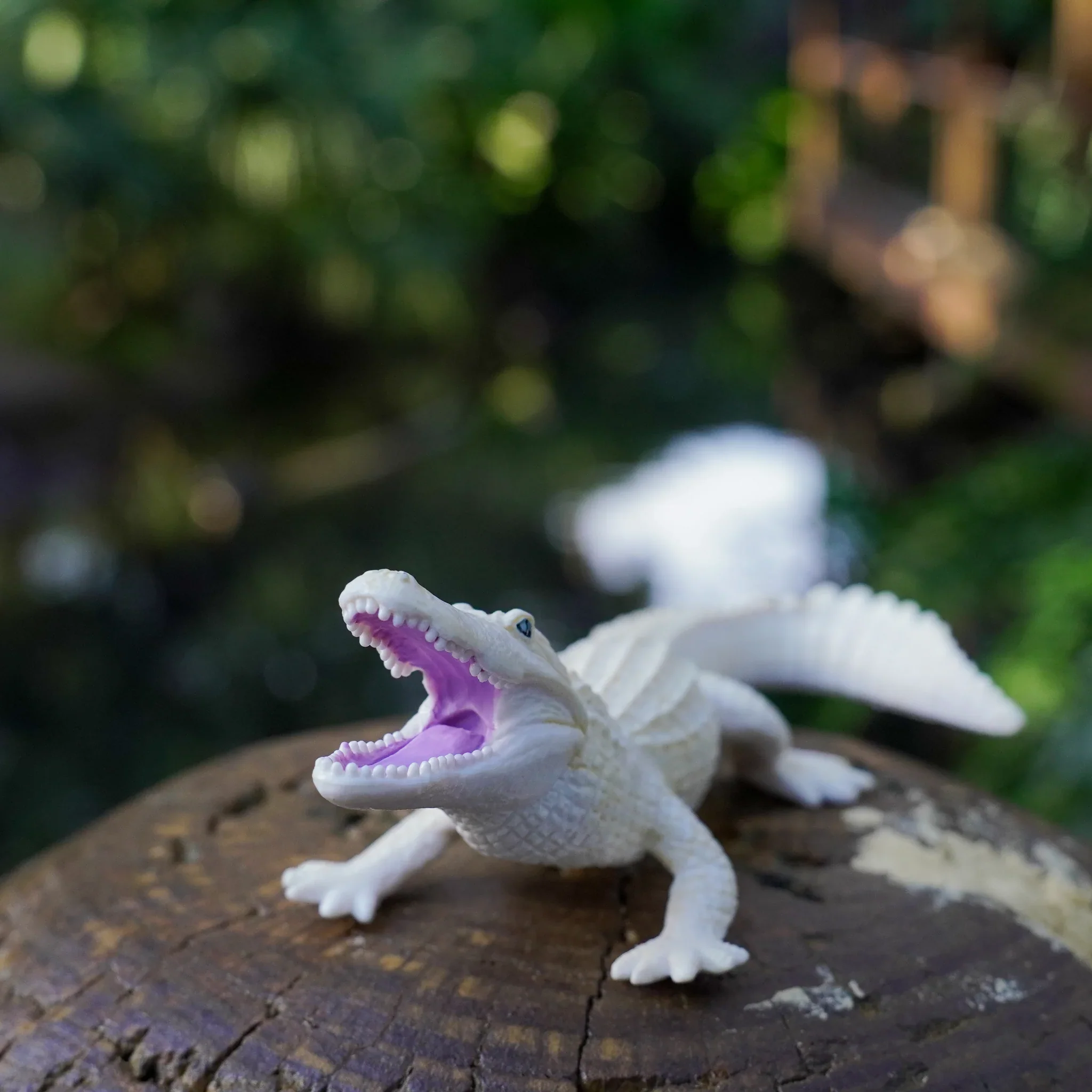 Safari Ltd White Alligator - Image 5
