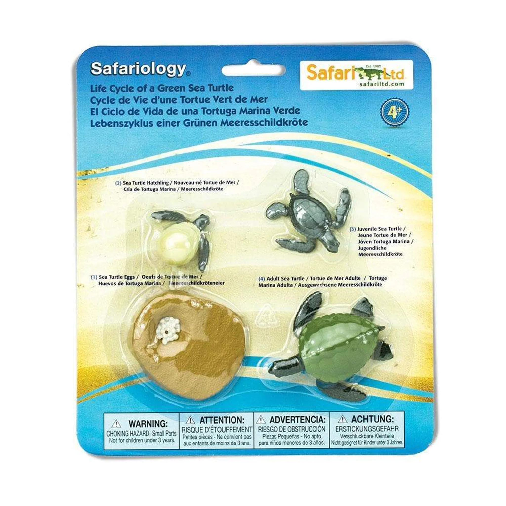Safari Ltd Life Cycle of a Green Sea Turtle - Image 3