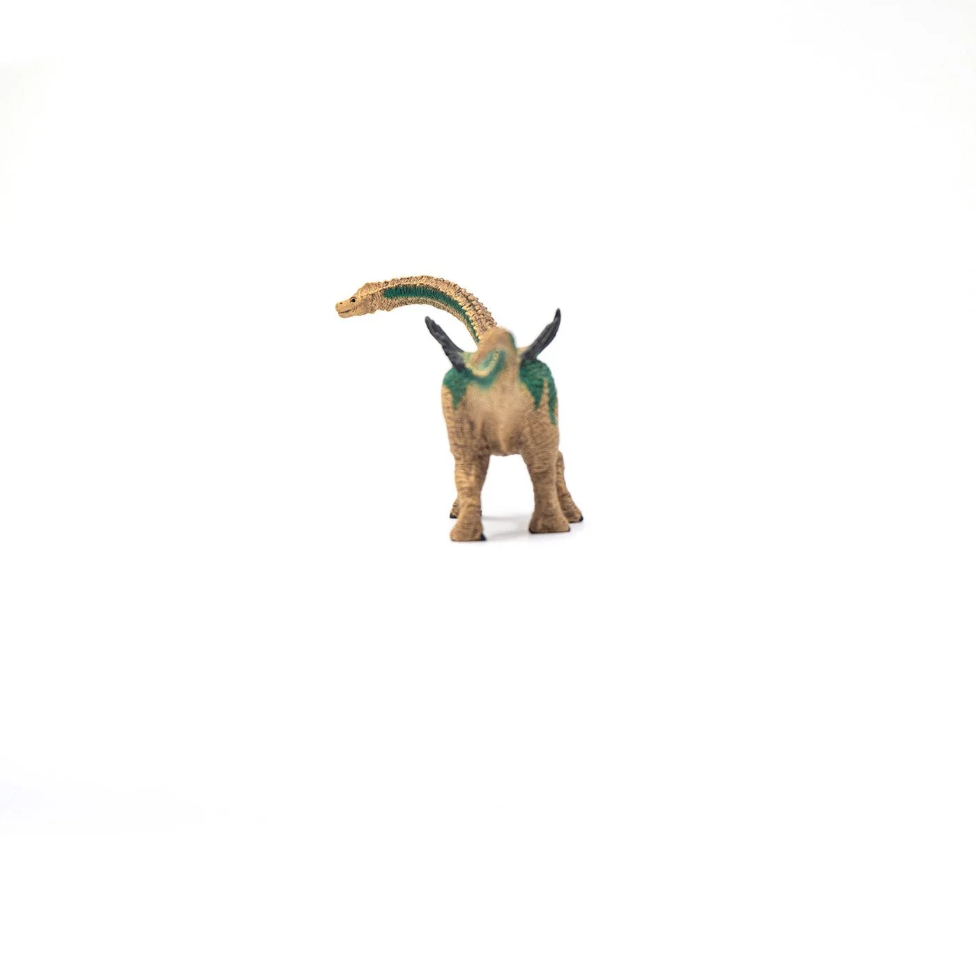 Schleich Agustinia - Image 16